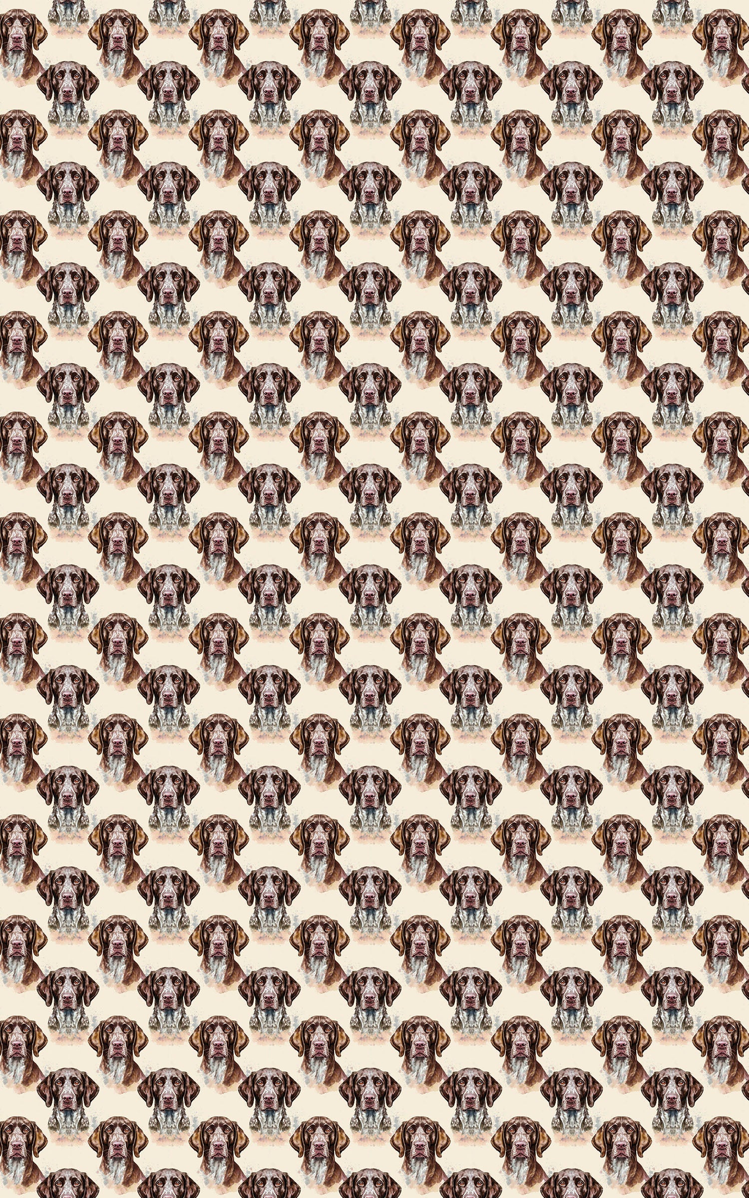 The Stylish Pointer