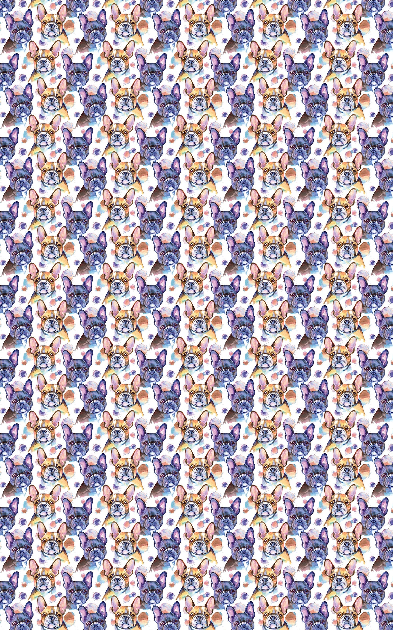 French Bulldog - Oui, Oui!