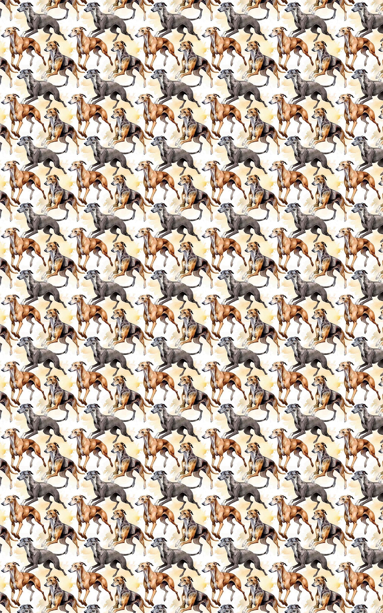 Speed & Grace – Greyhound
