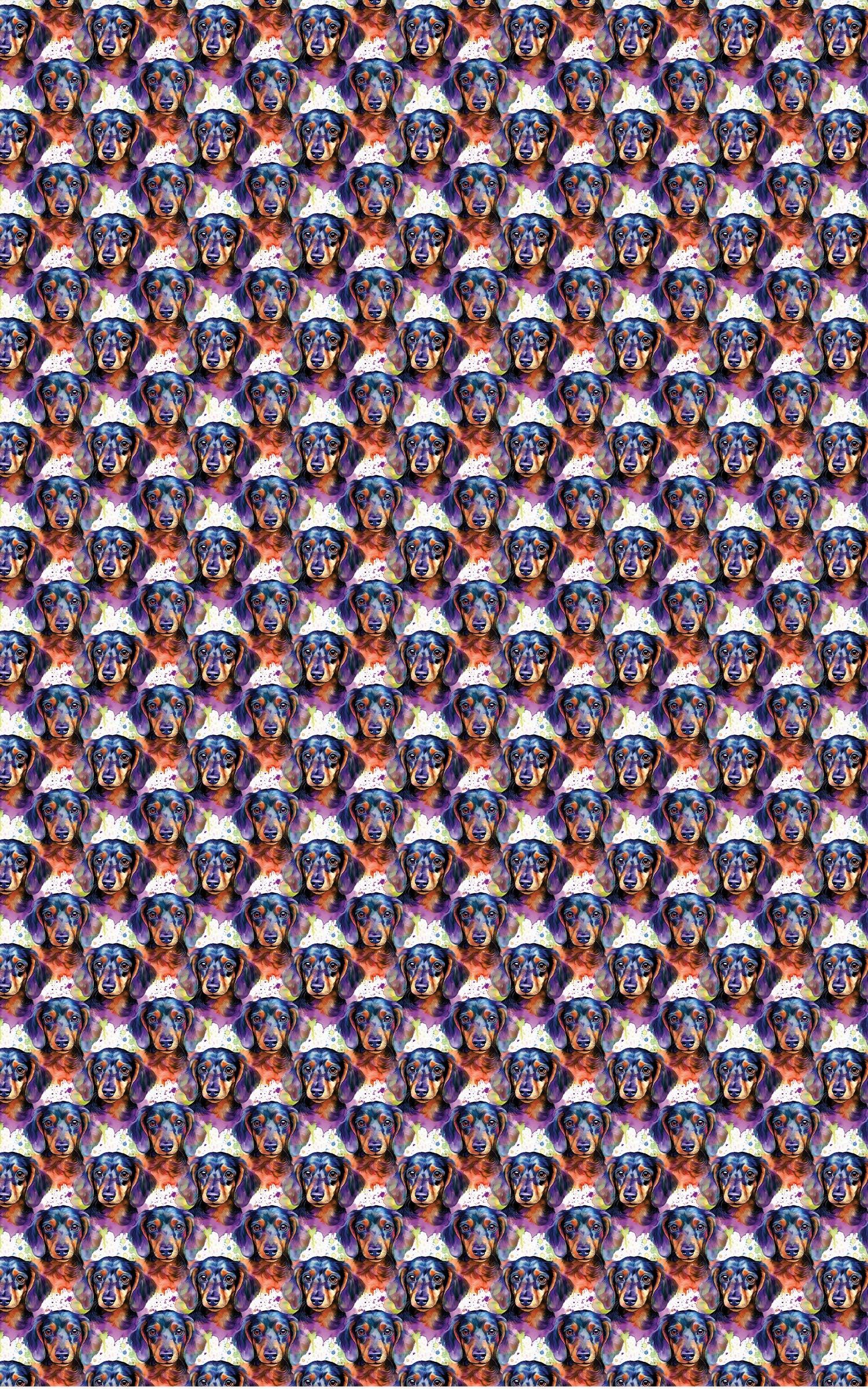 The Dashing Dachshund