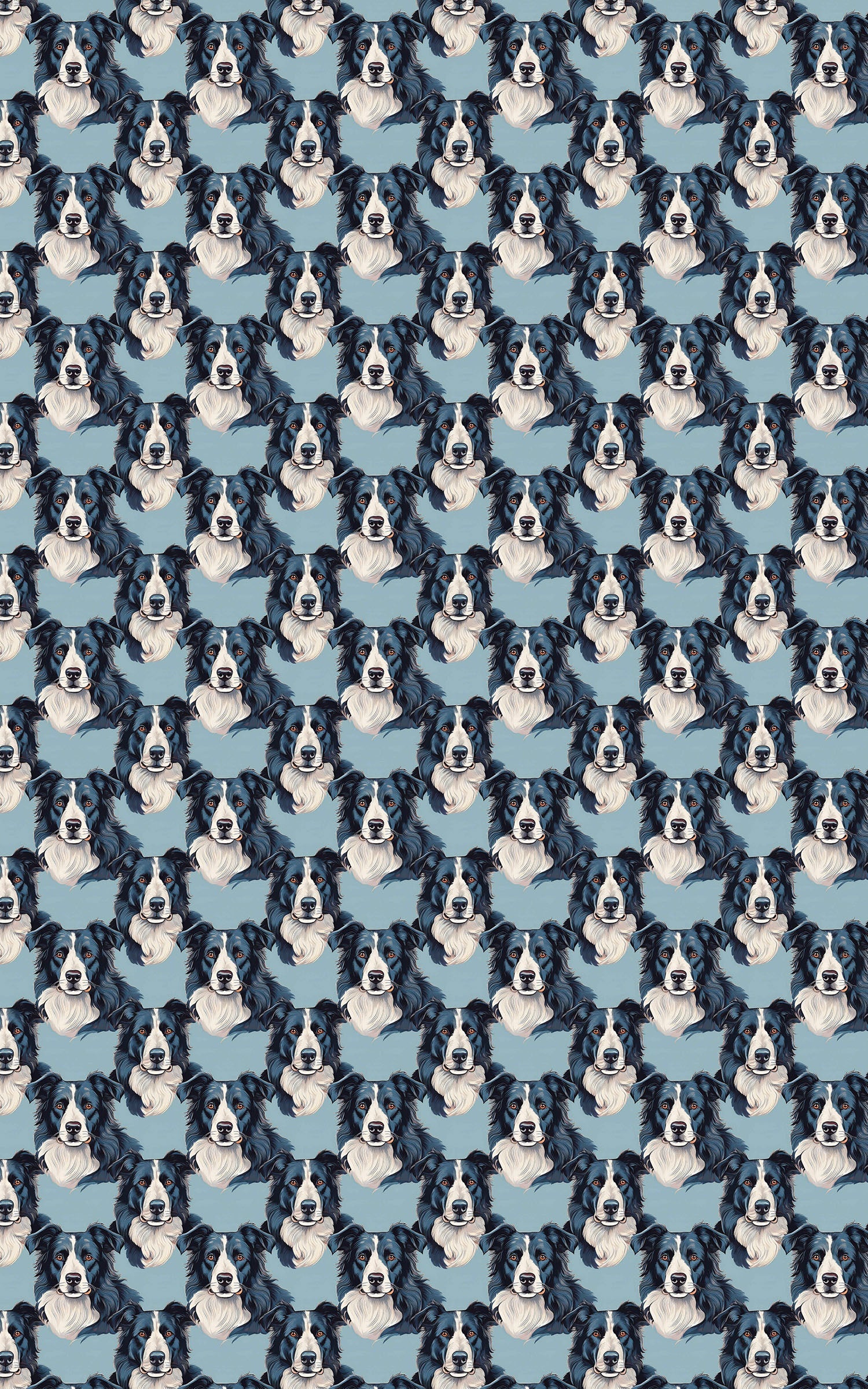 The Border Collie Look