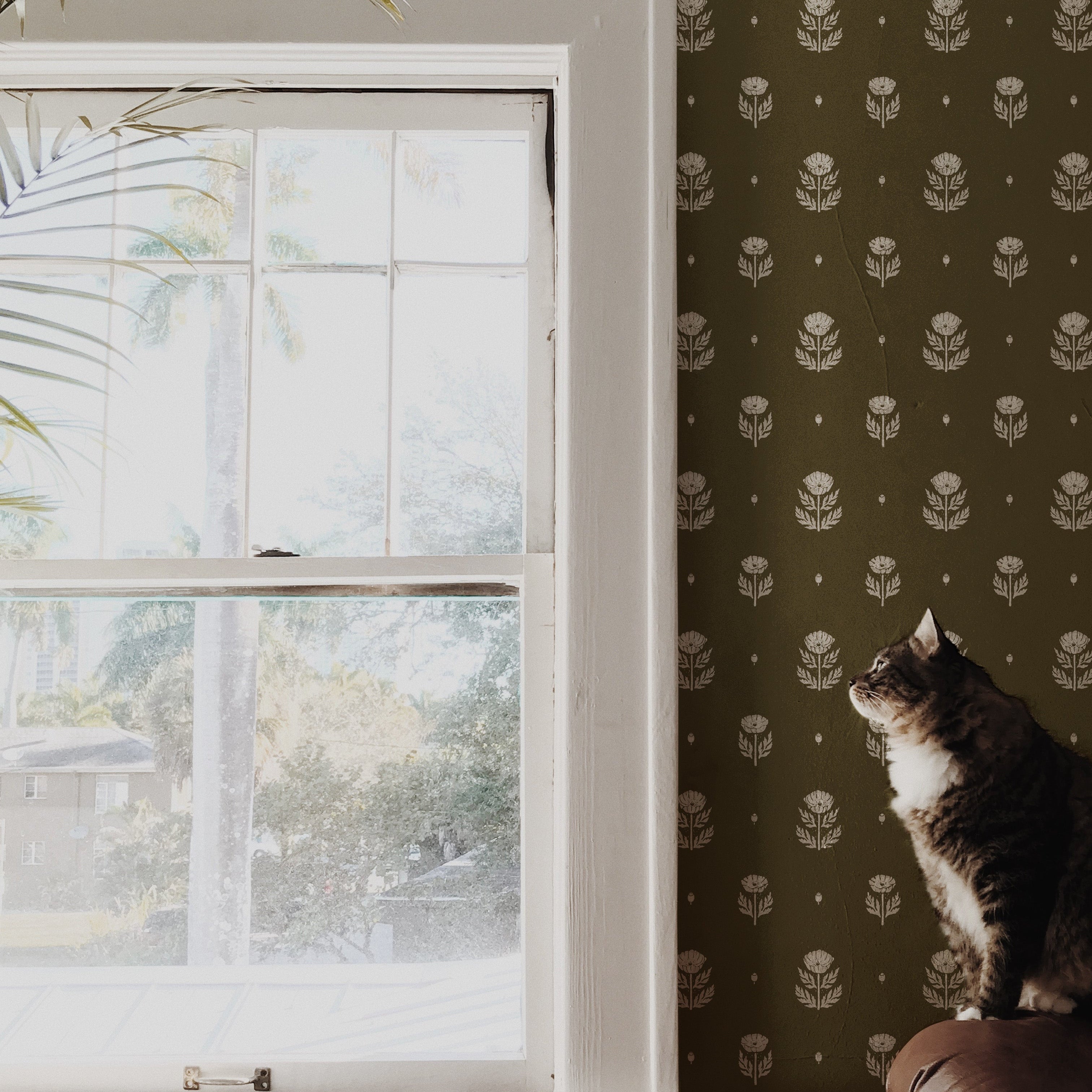 Delaney Wallpaper By Mackenzie Nelson