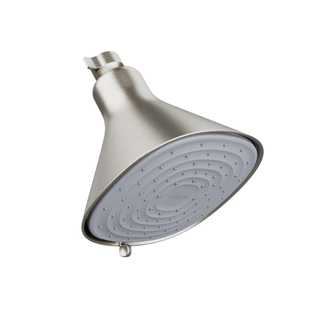 Filtered Showerhead