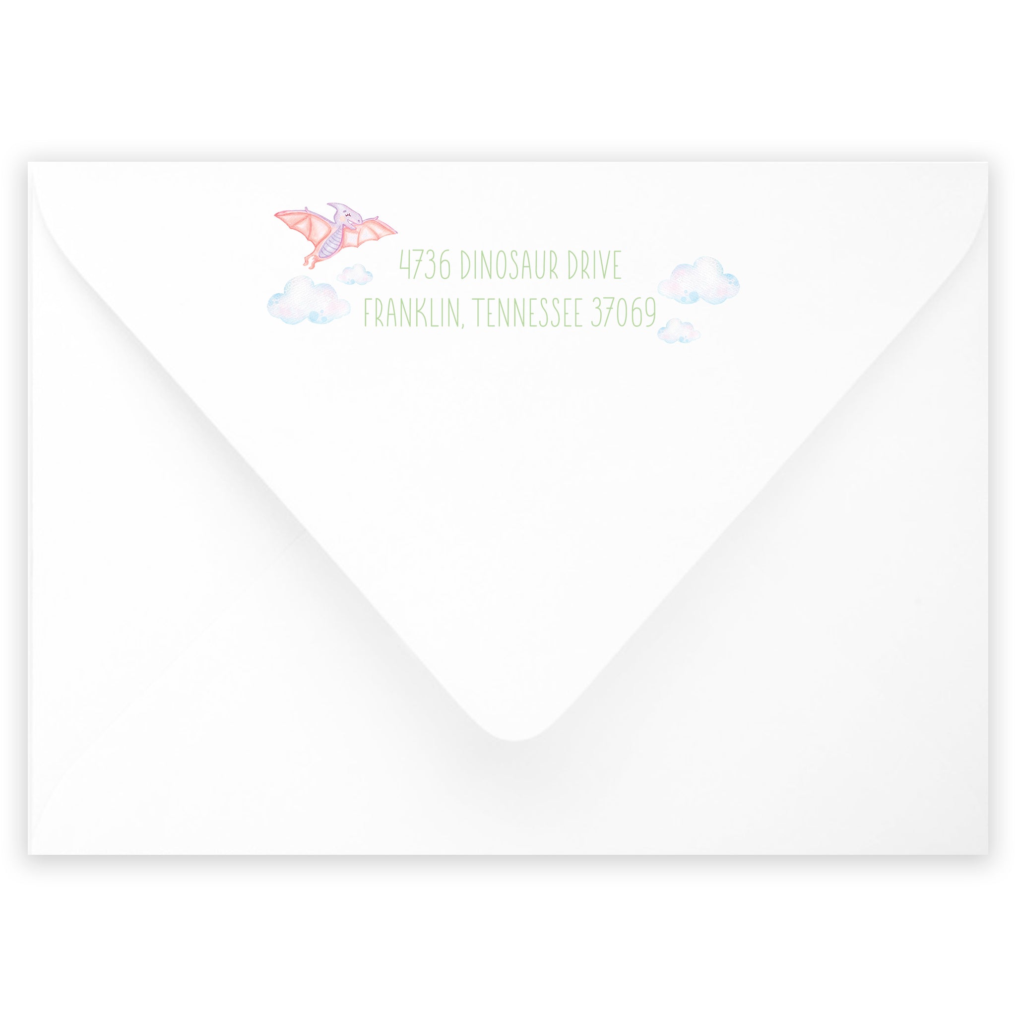 Dinosaur Birthday Invitation