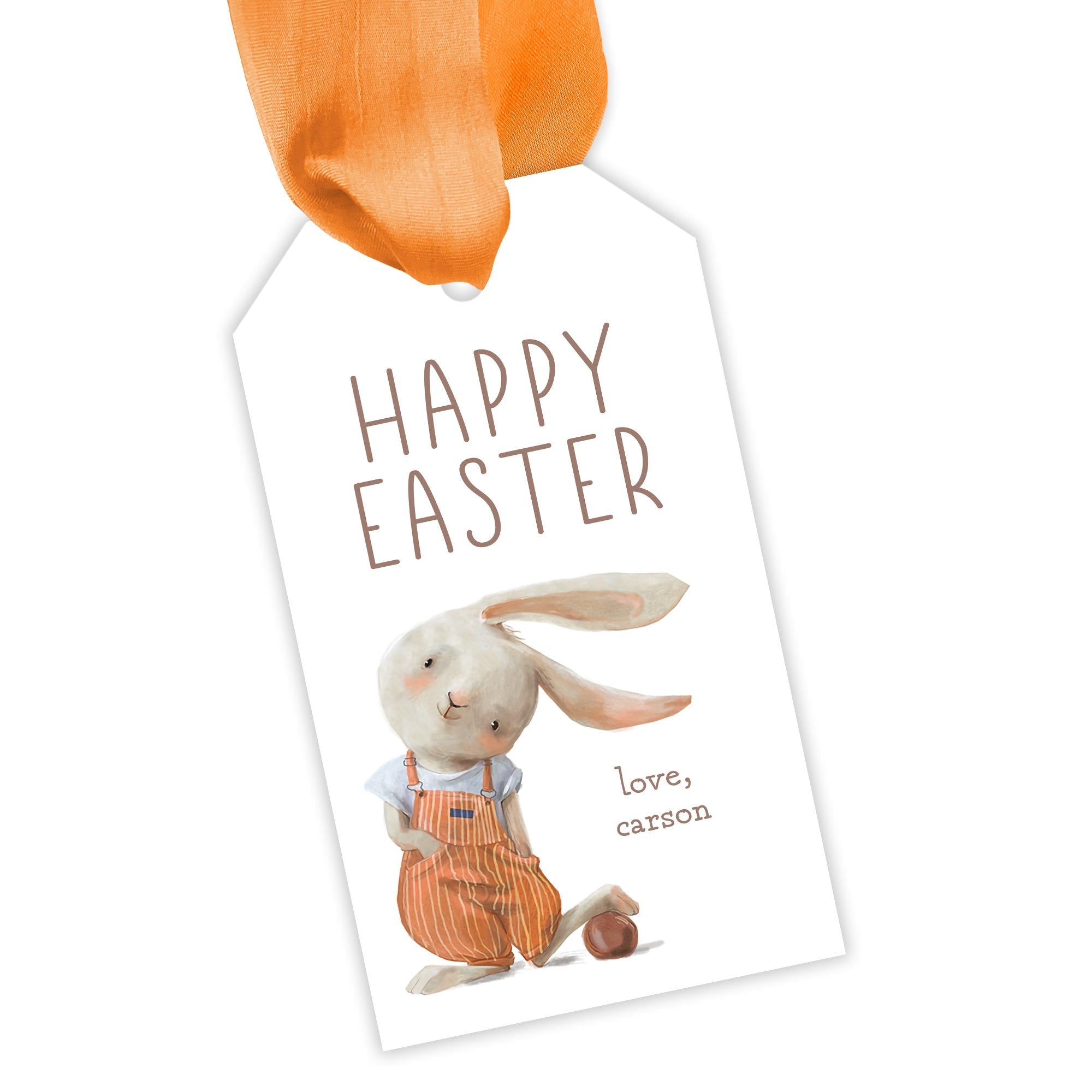 Boy Bunny Easter Tag
