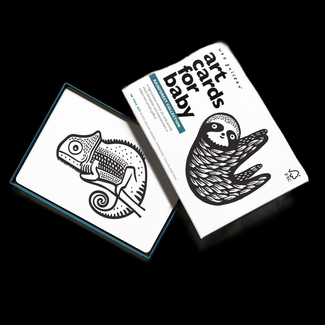 Art Cards For Baby - Rainforest Collection