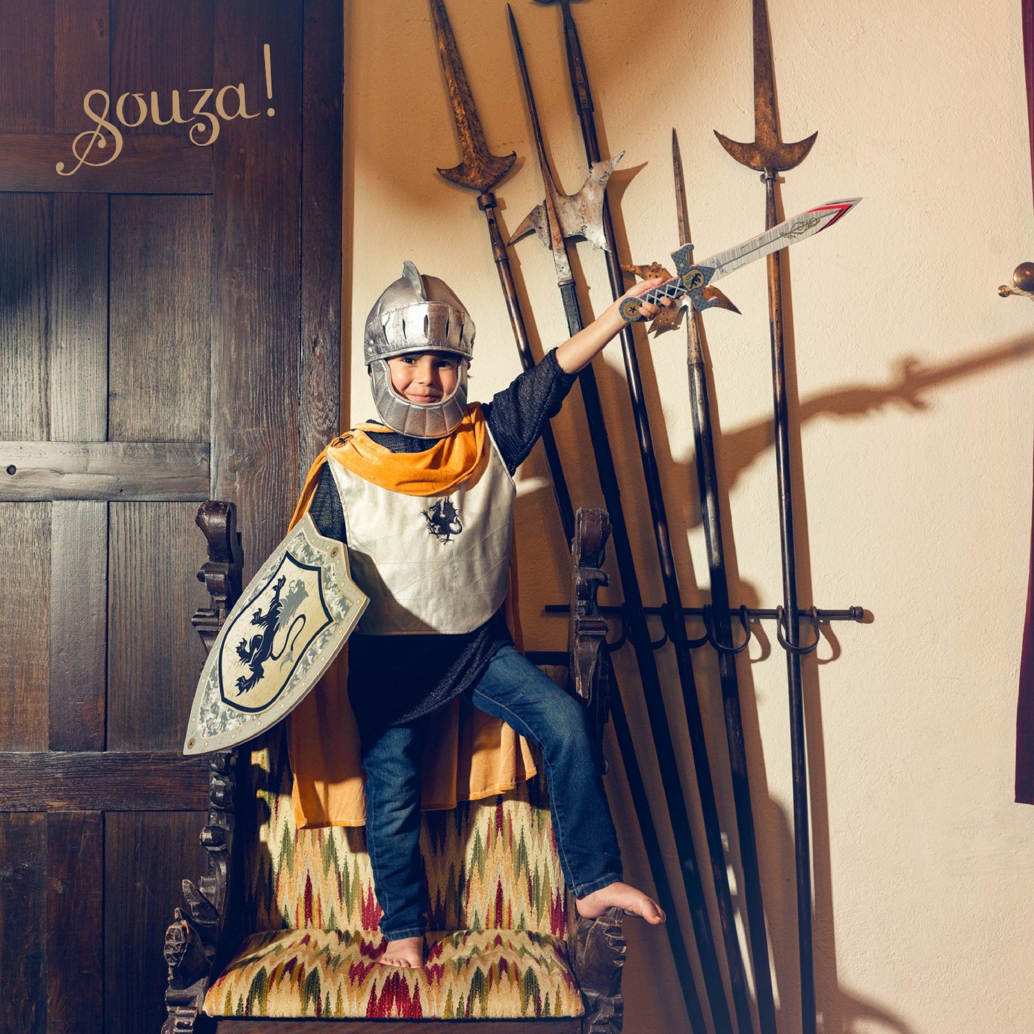 Shield Raymond - Costume Accessory For Kids - Carnival & Festive Use