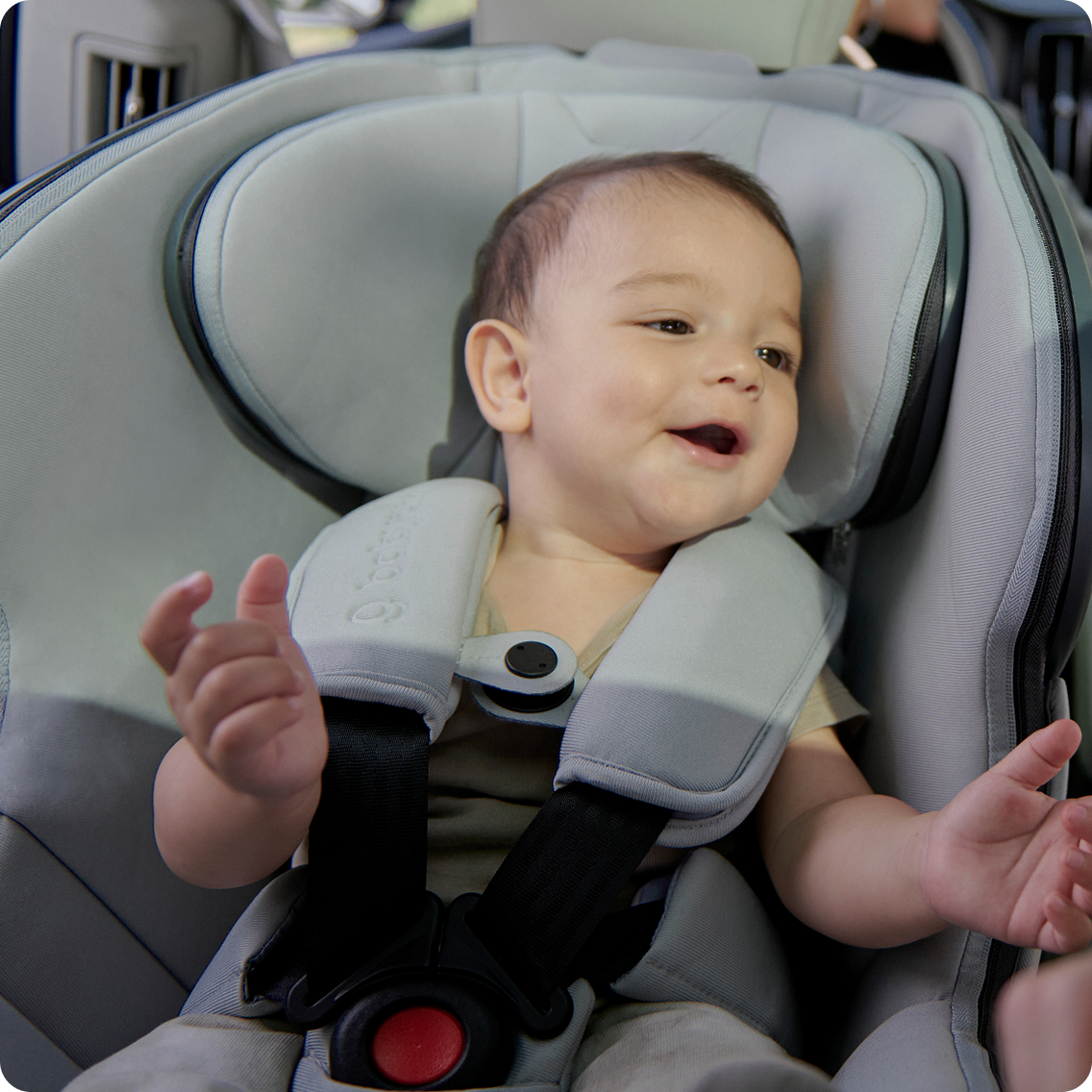 The Babyark Advanced Convertible Car Seat