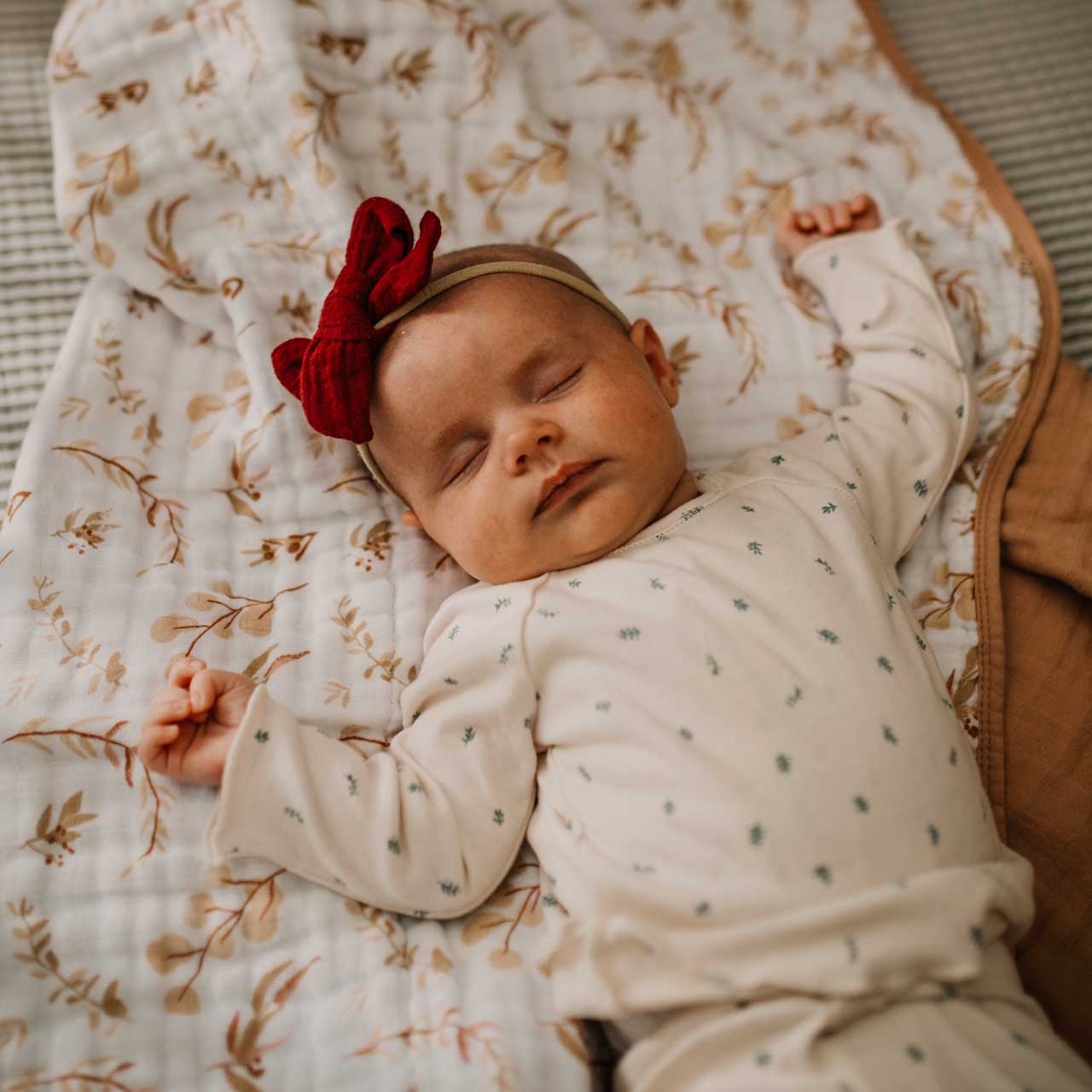 Maple Set - Bows And Headbands - 5 Pack