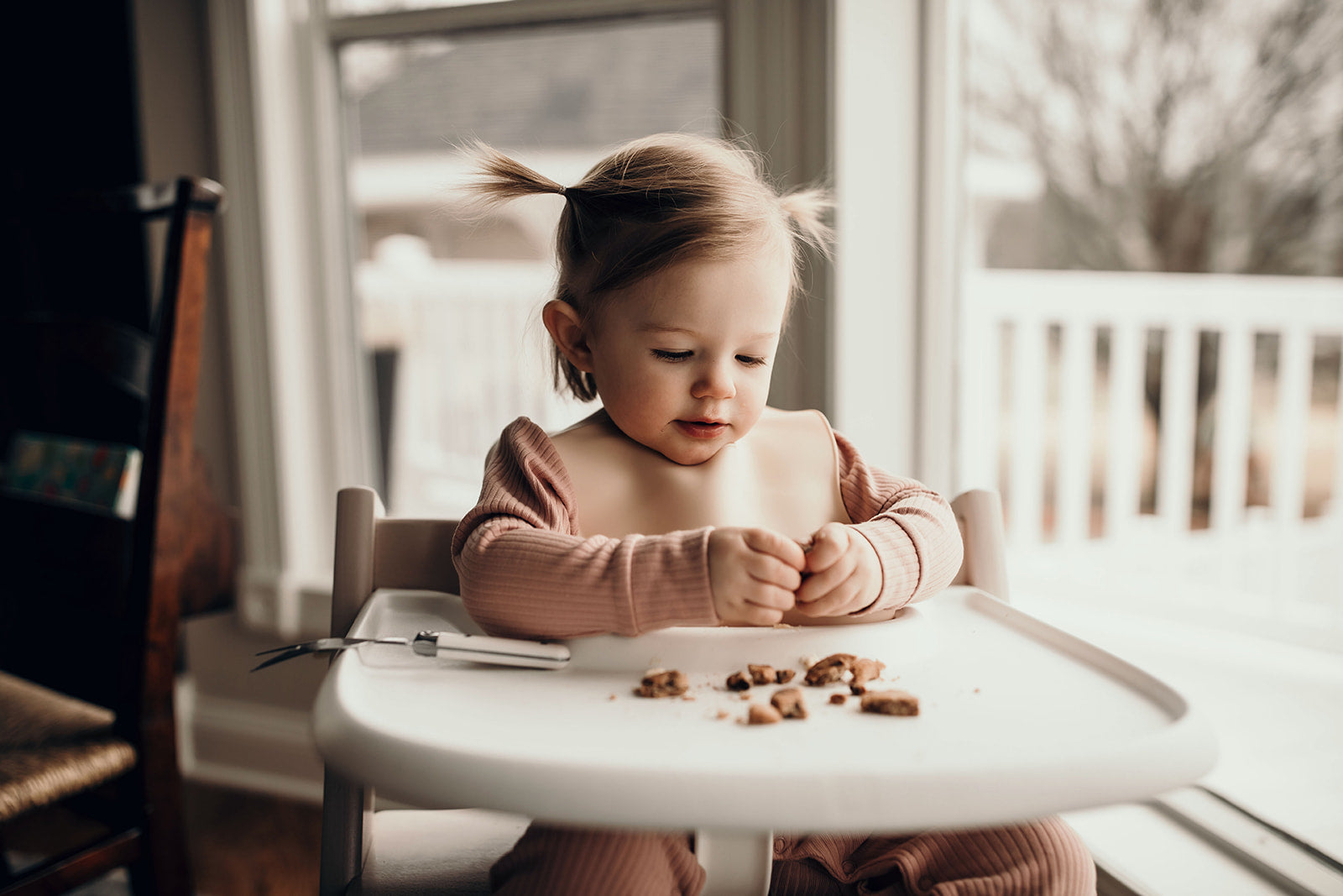 Sugar Cookie Silicone Bib With Crumb Catcher