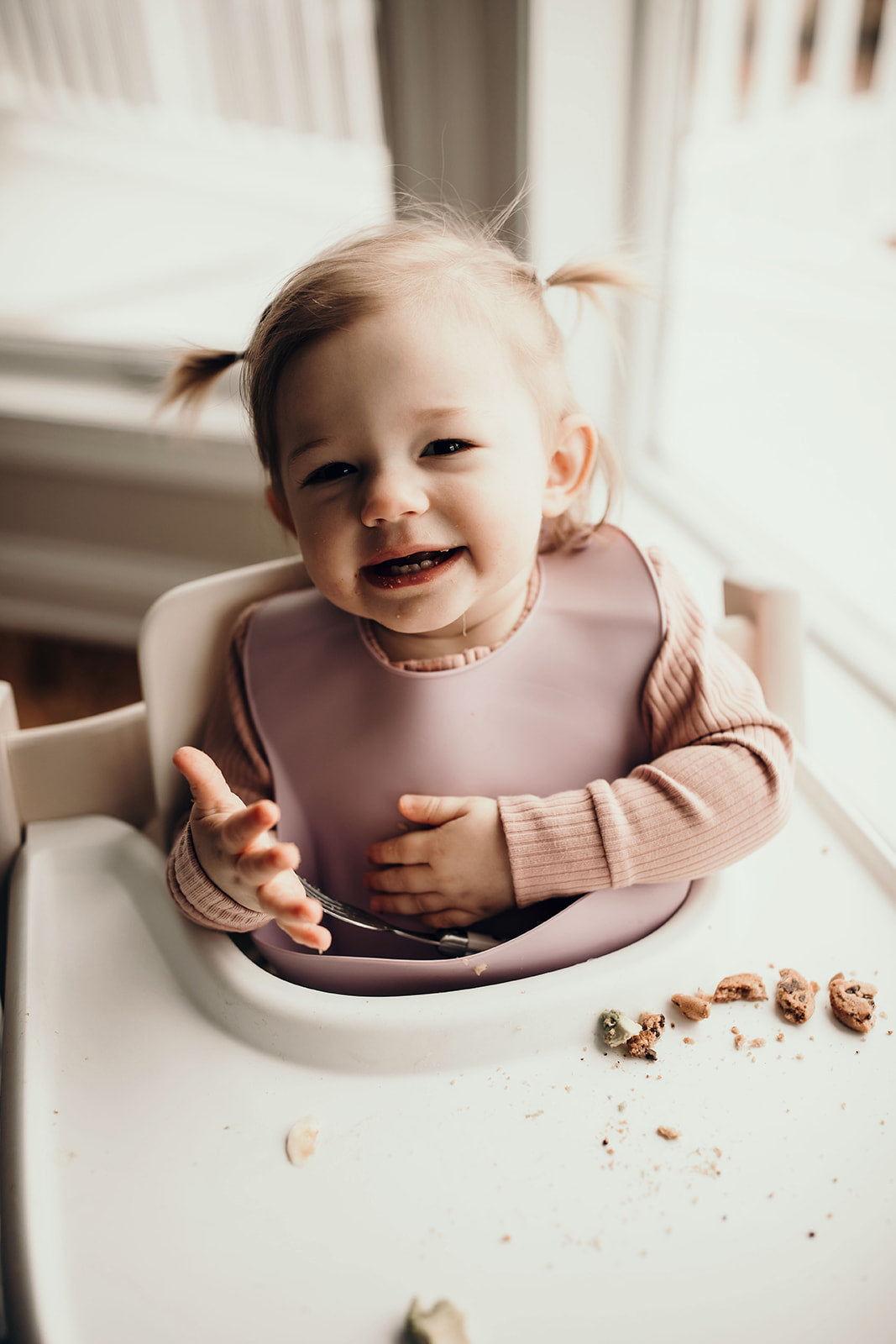 Lilac Silicone Bib With Crumb Catcher
