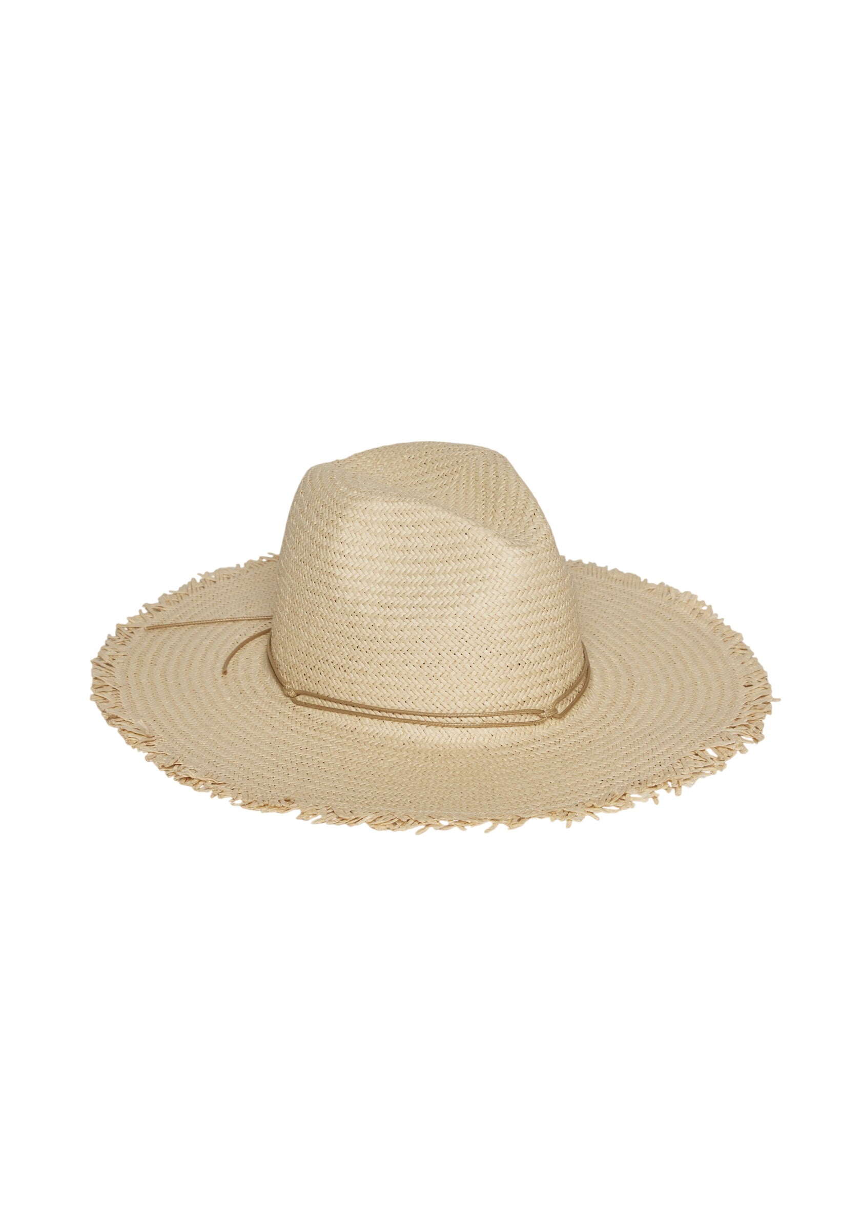 Fringed Traveler Continental