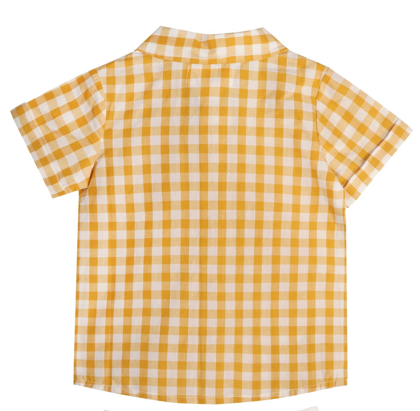 Citrus Gingham Boy Shirt
