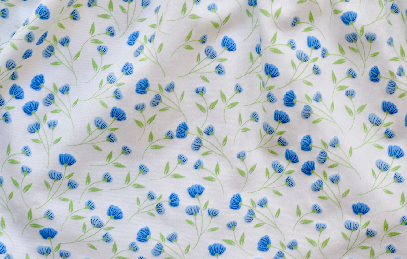 Arabella Blue Floral Dress