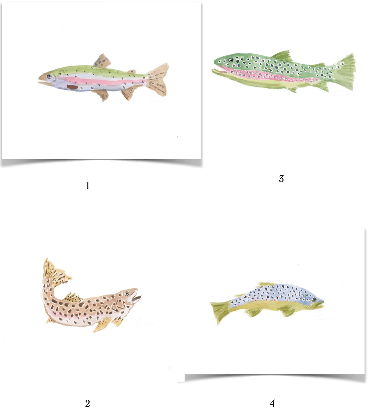 Trout 4 Print