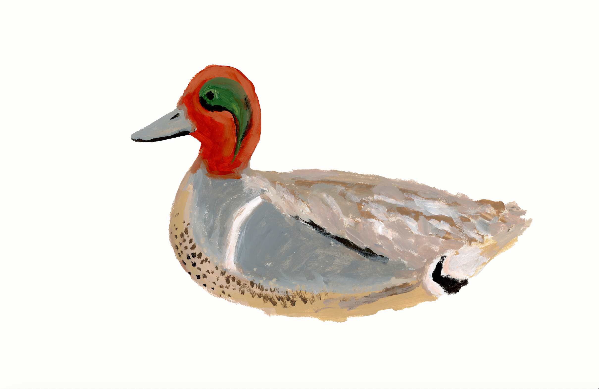 Duck 1 Print