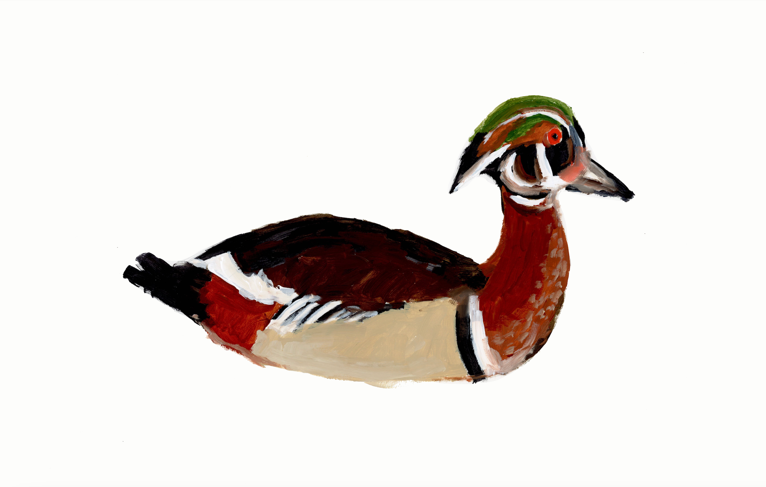 Duck 2 Print
