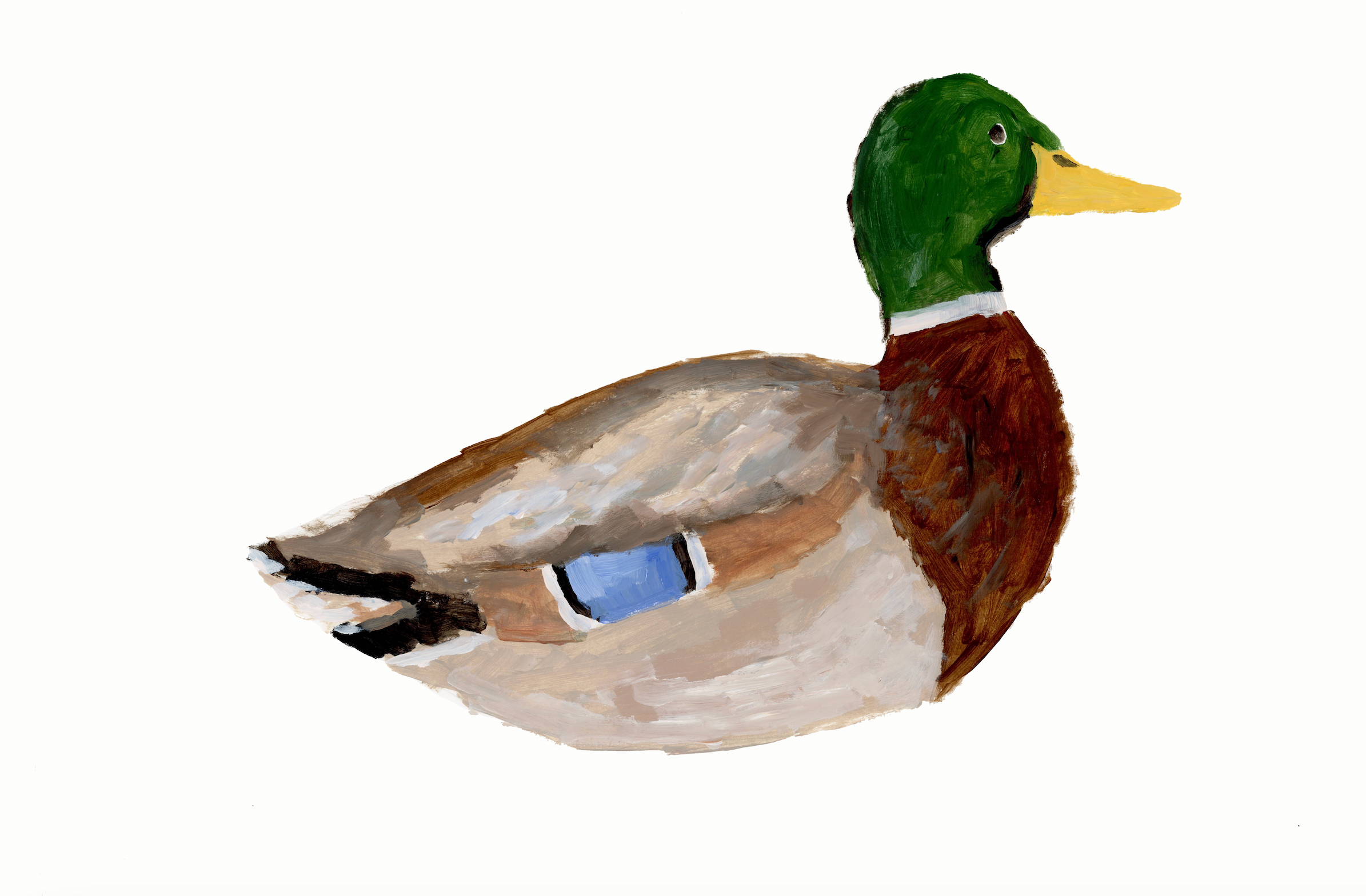 Duck 3 Print