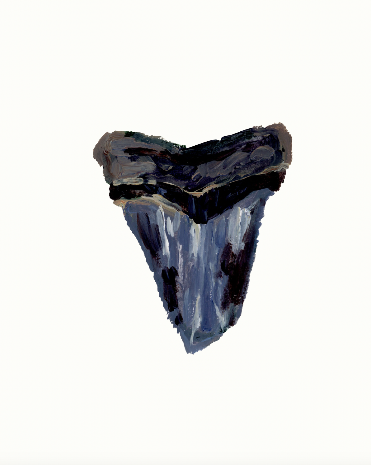 Shark Tooth 4 Print