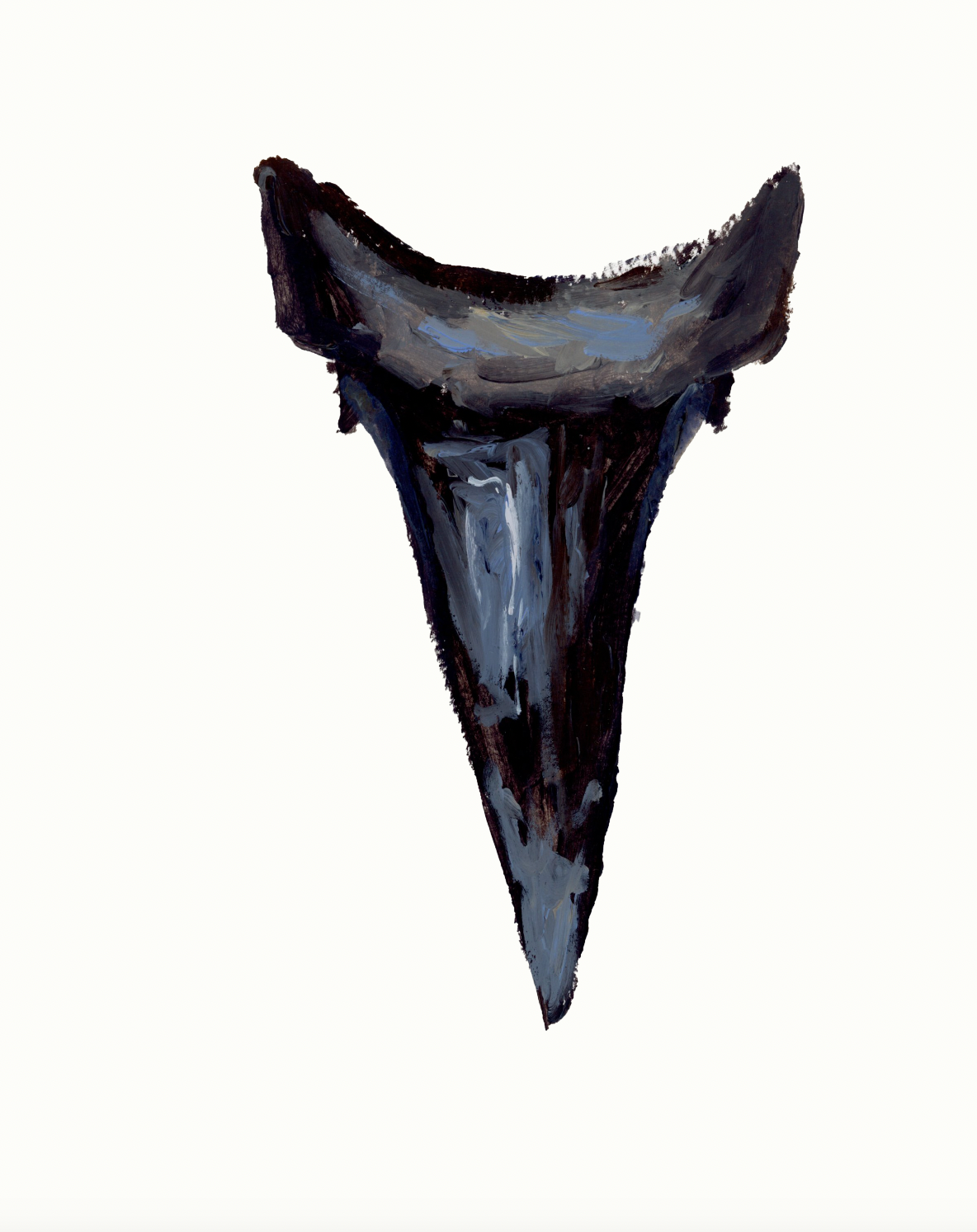 Shark Tooth 10 Print