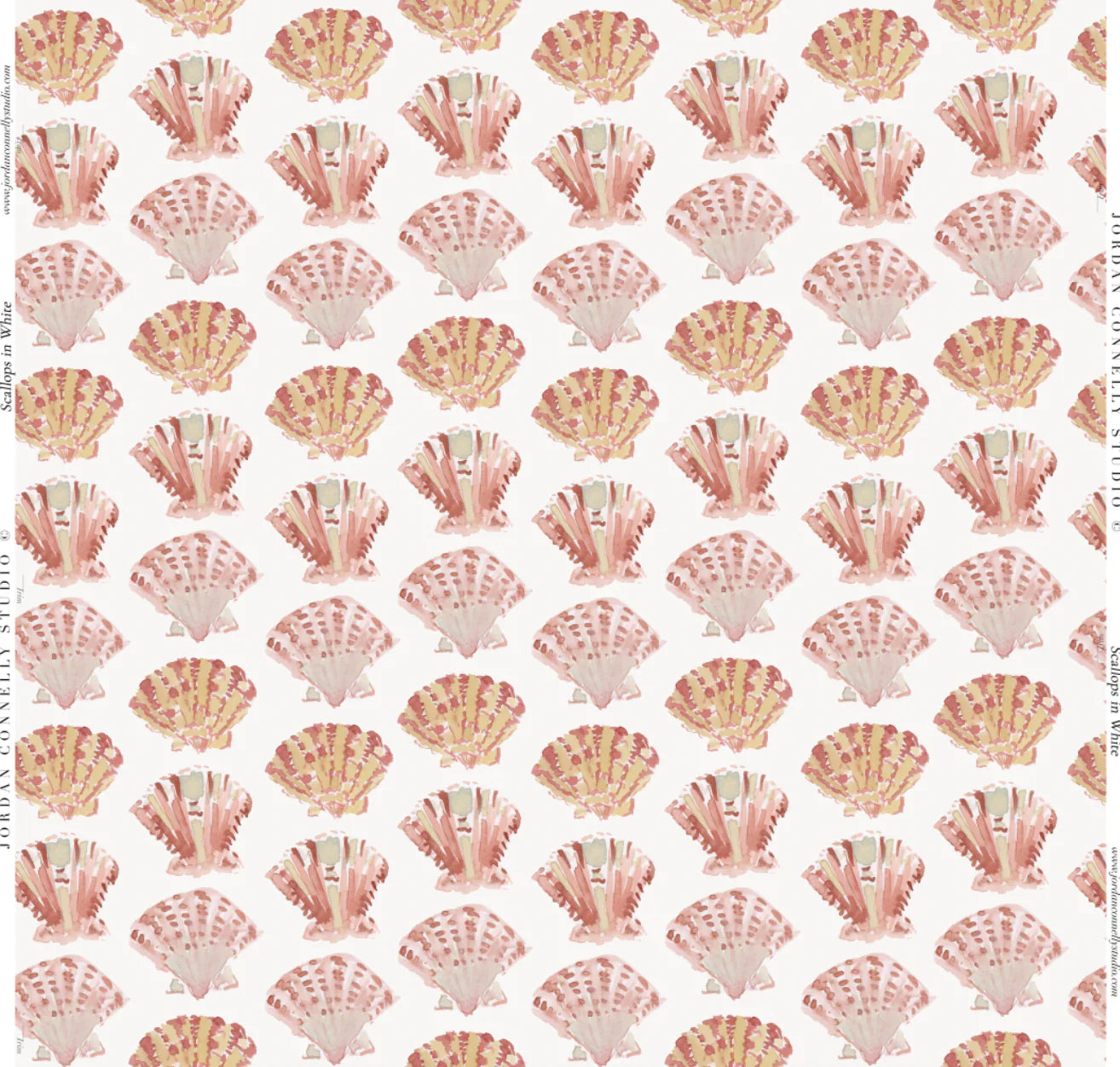 Scallops In White Wallpaper