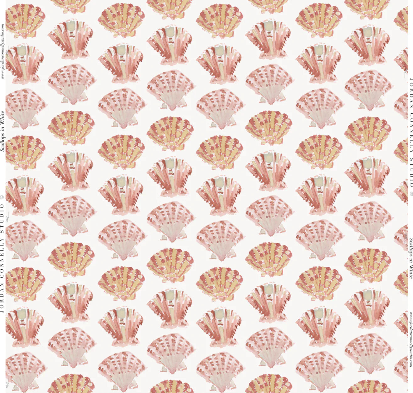Scallops In White Fabric Swatch