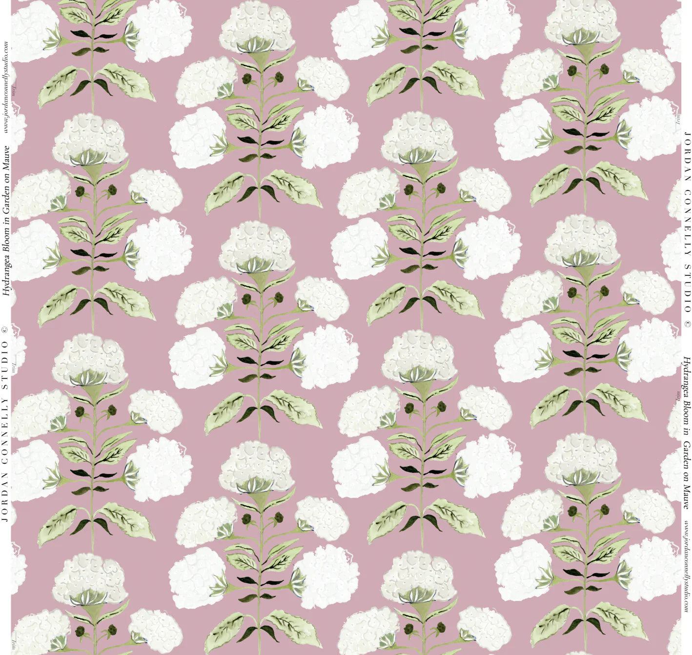 Hydrangea Bloom In Garden On Mauve Wallpaper