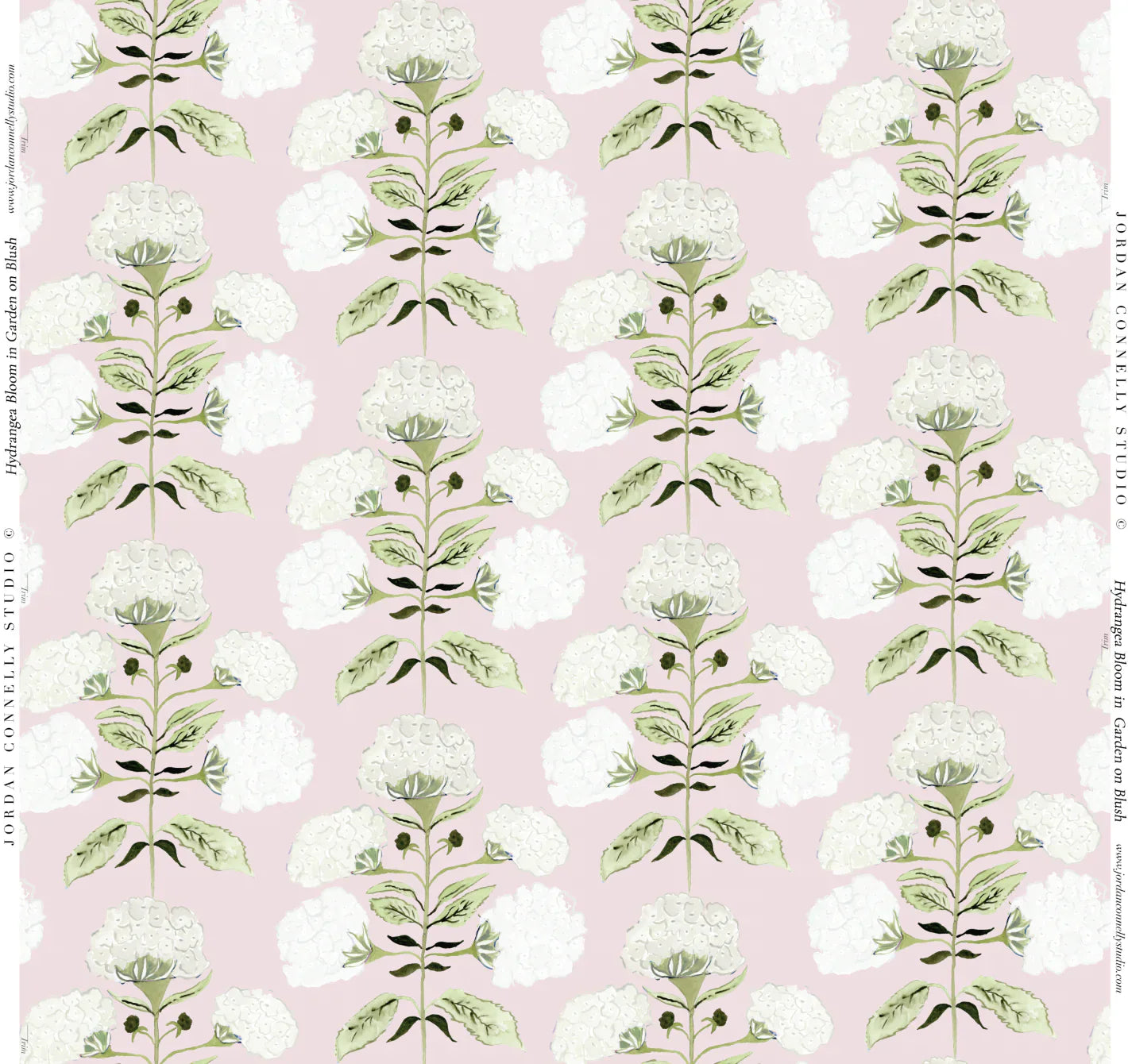 Hydrangea Bloom In Garden On Blush Fabric Swatch
