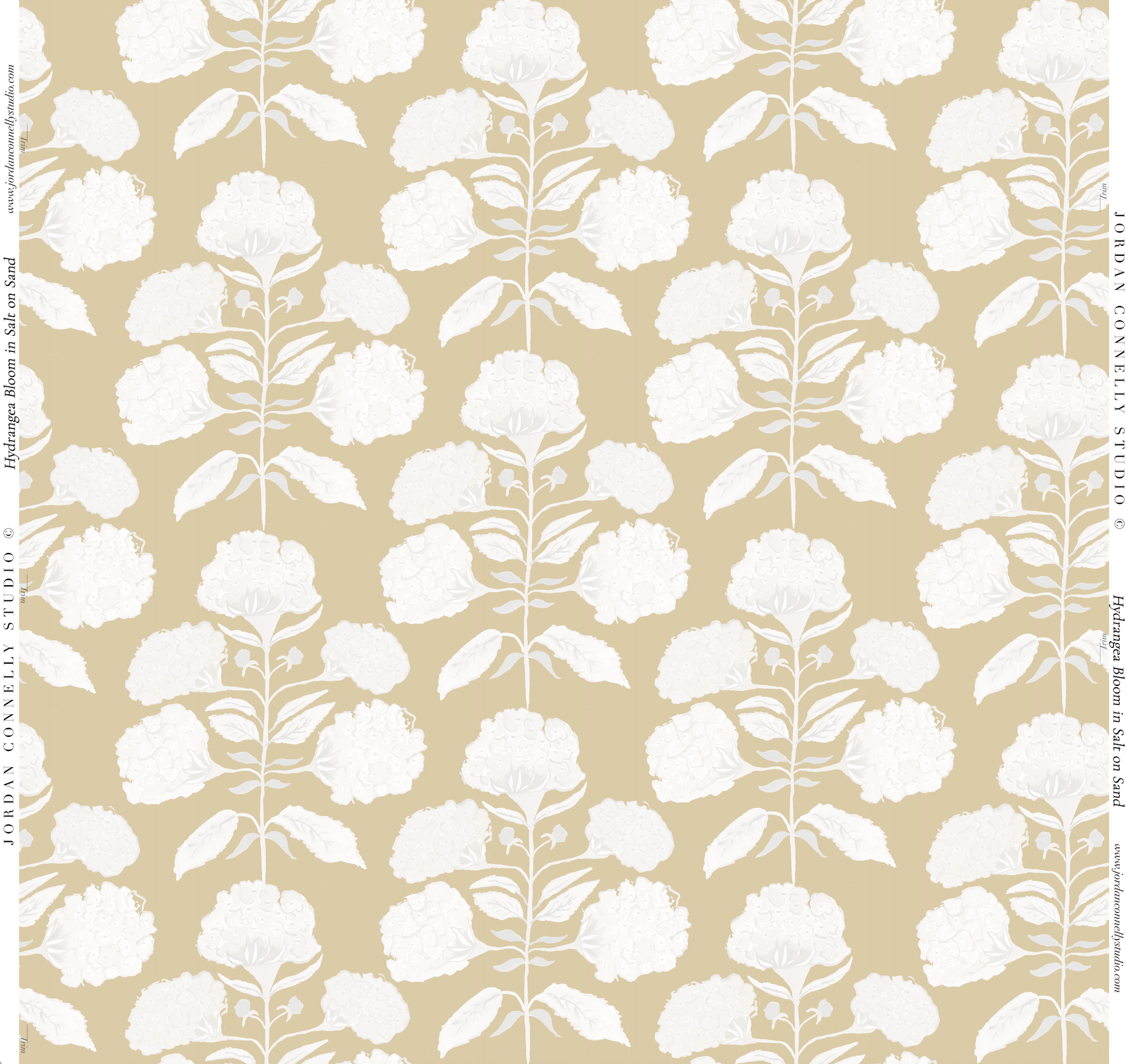 Hydrangea Bloom In Salt On Tan Wallpaper