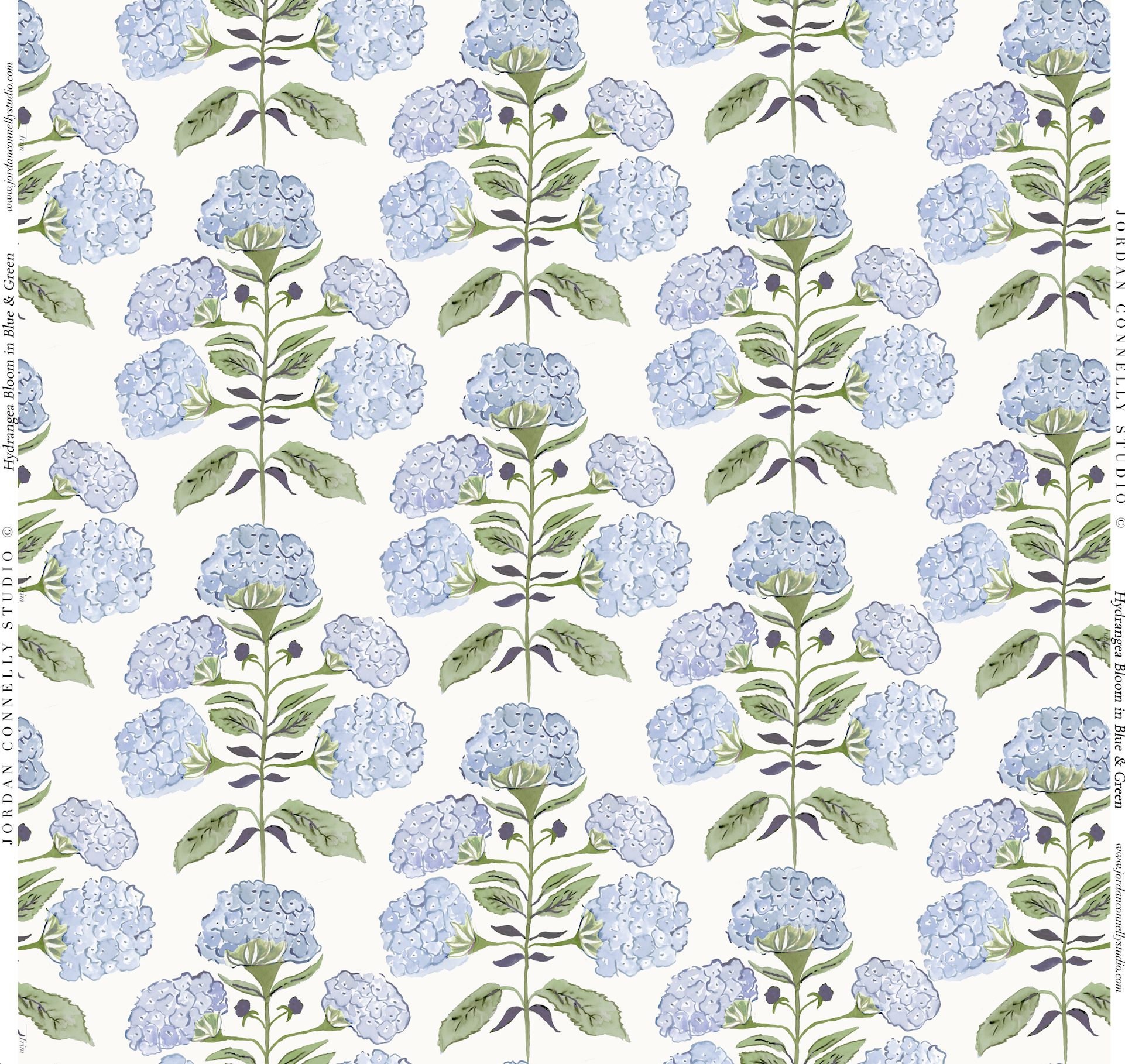 Hydrangea Bloom In Blue & Green Wallpaper