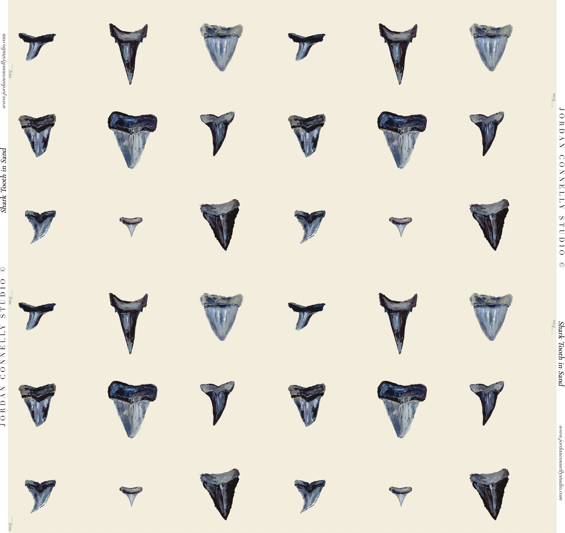 Shark Tooth In Sand Wallpaper