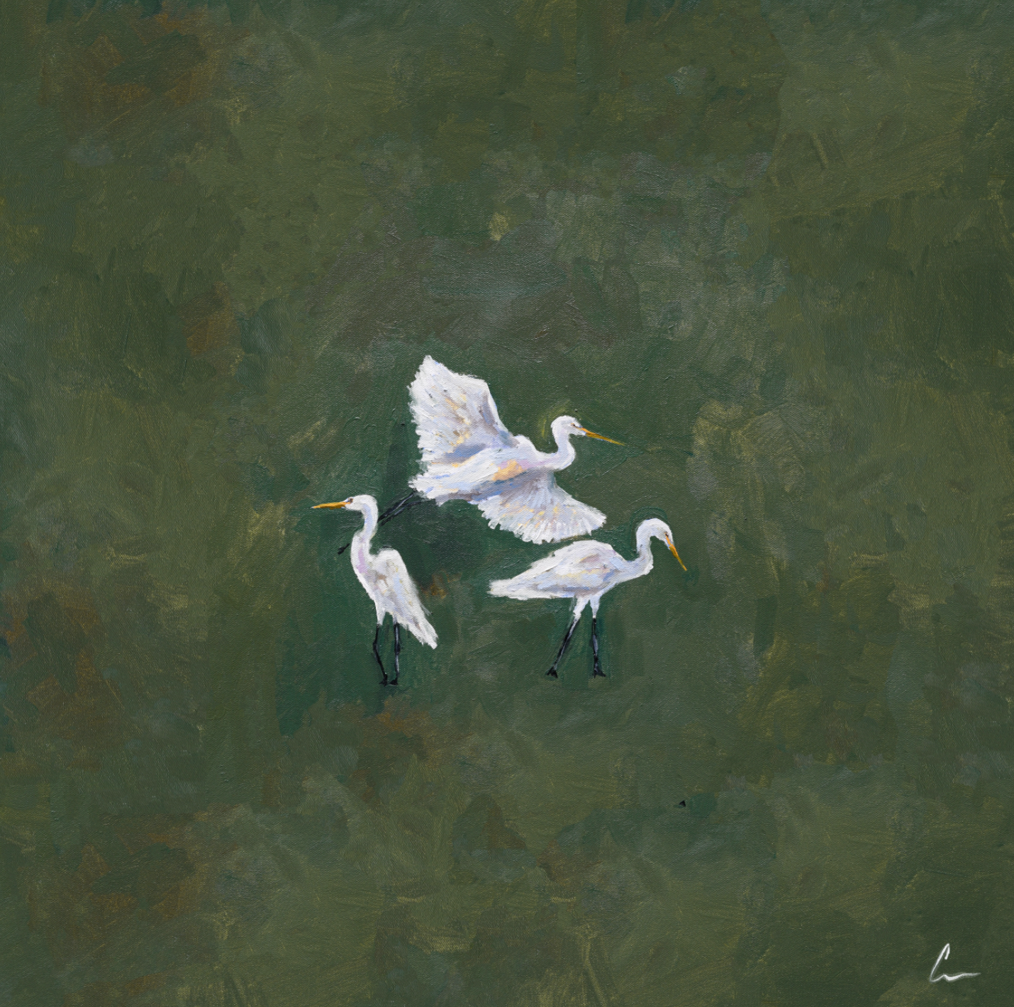 Egret Trio Print