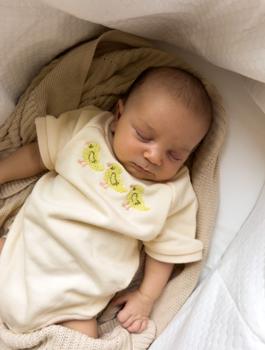 3 Little Ducks Bubble Romper