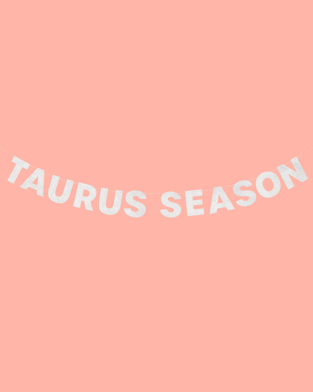 Taurus Season Banner - Silver Glitter Banner