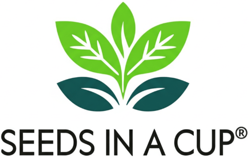 Cabbage | Plant Seed Starter Grow Kit |