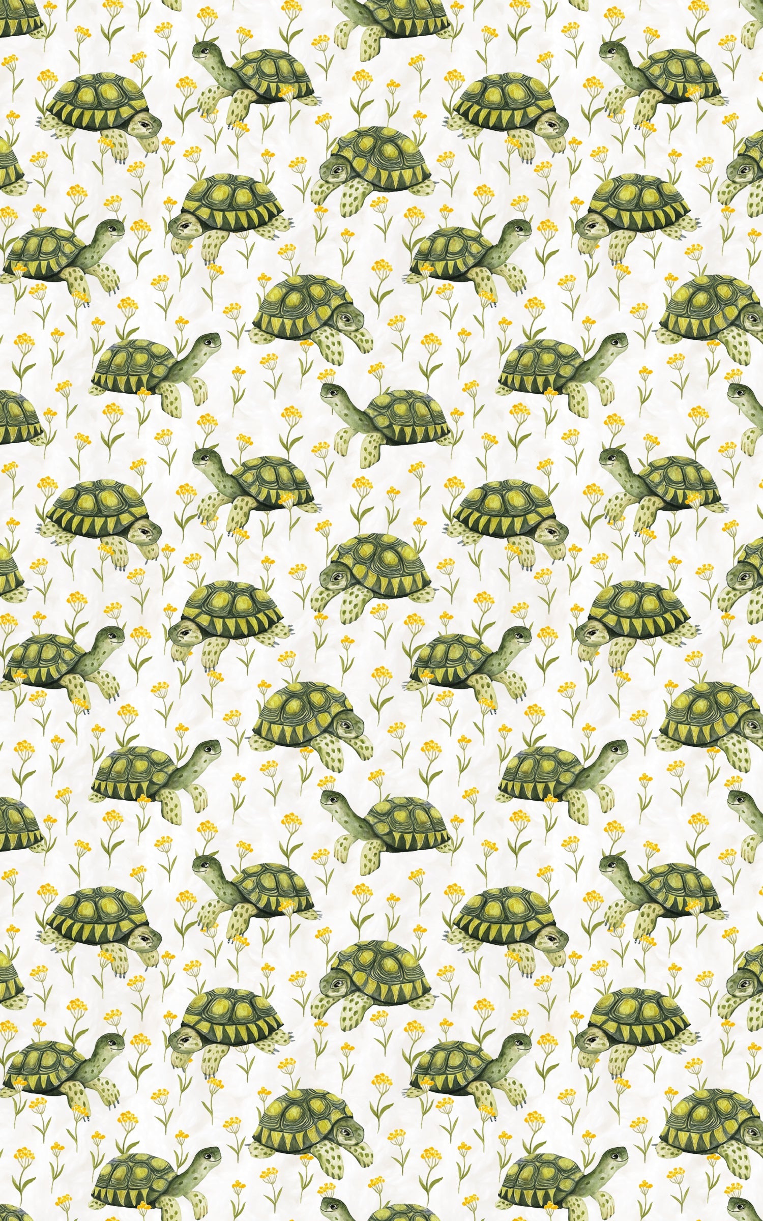 Shellabration Stroll