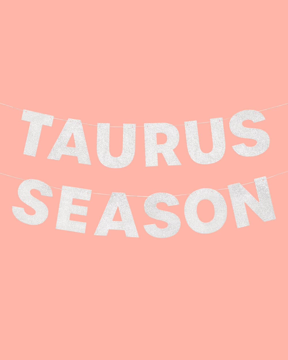 Taurus Season Banner - Silver Glitter Banner