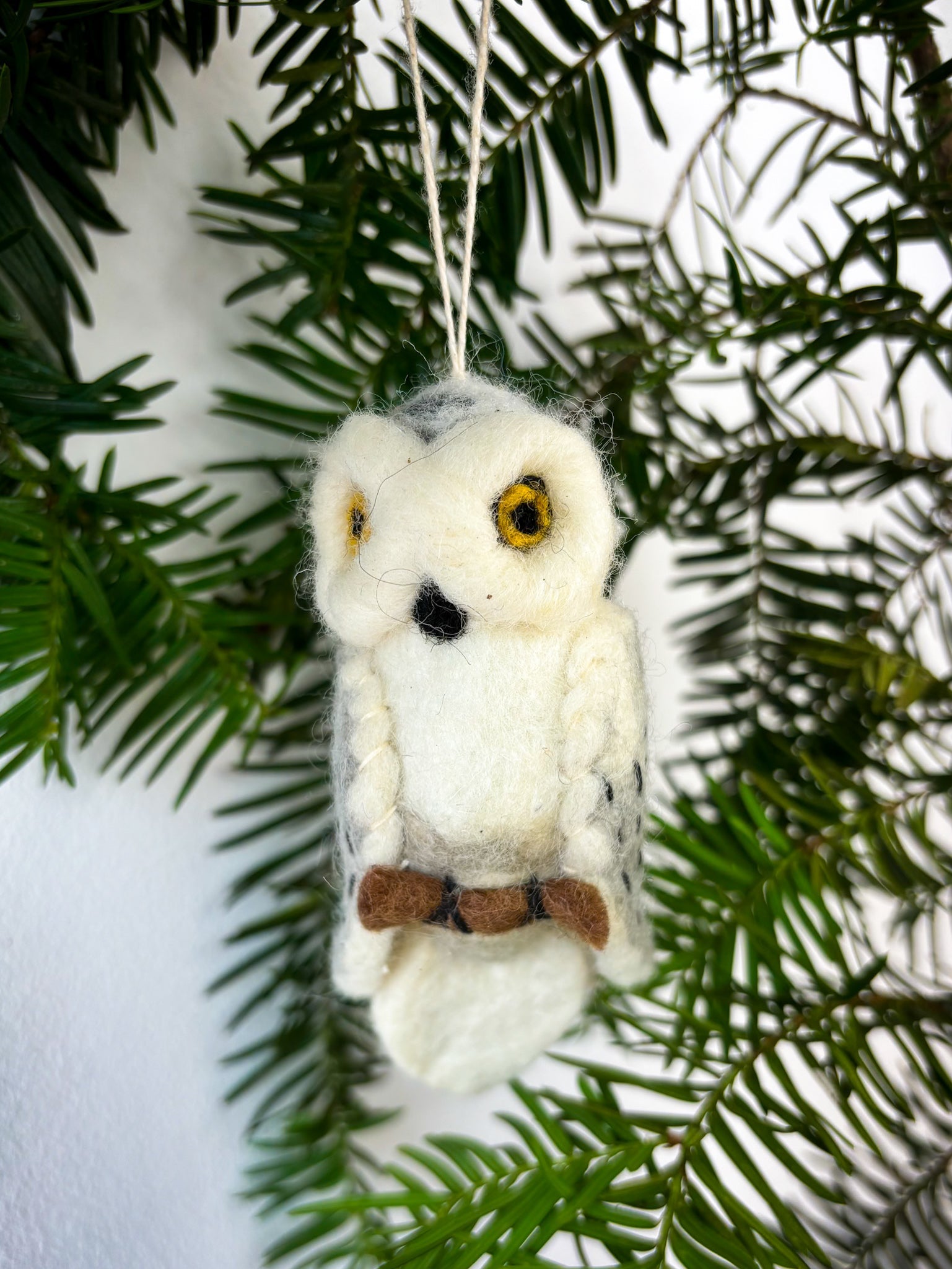 North American Bird Ornaments