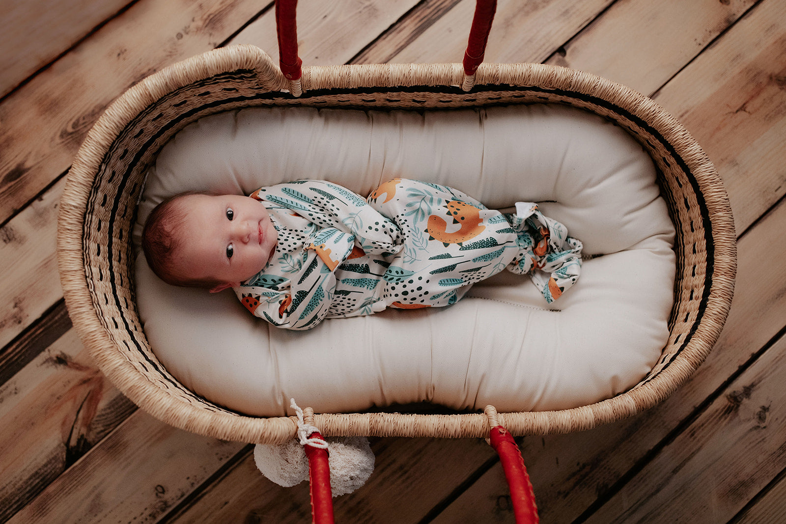 Dinosaur Themed Newborn Knotted Gown