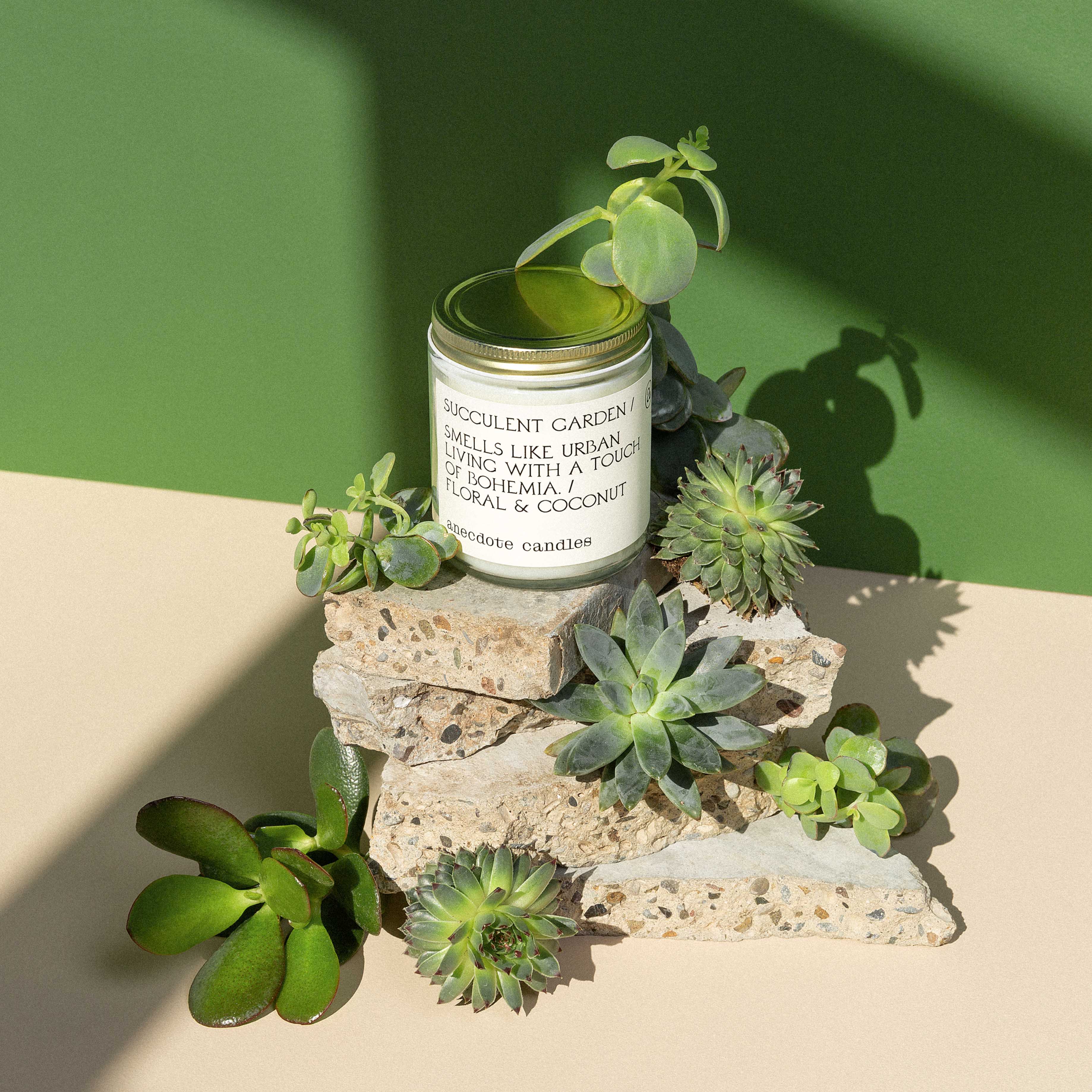 Succulent Garden