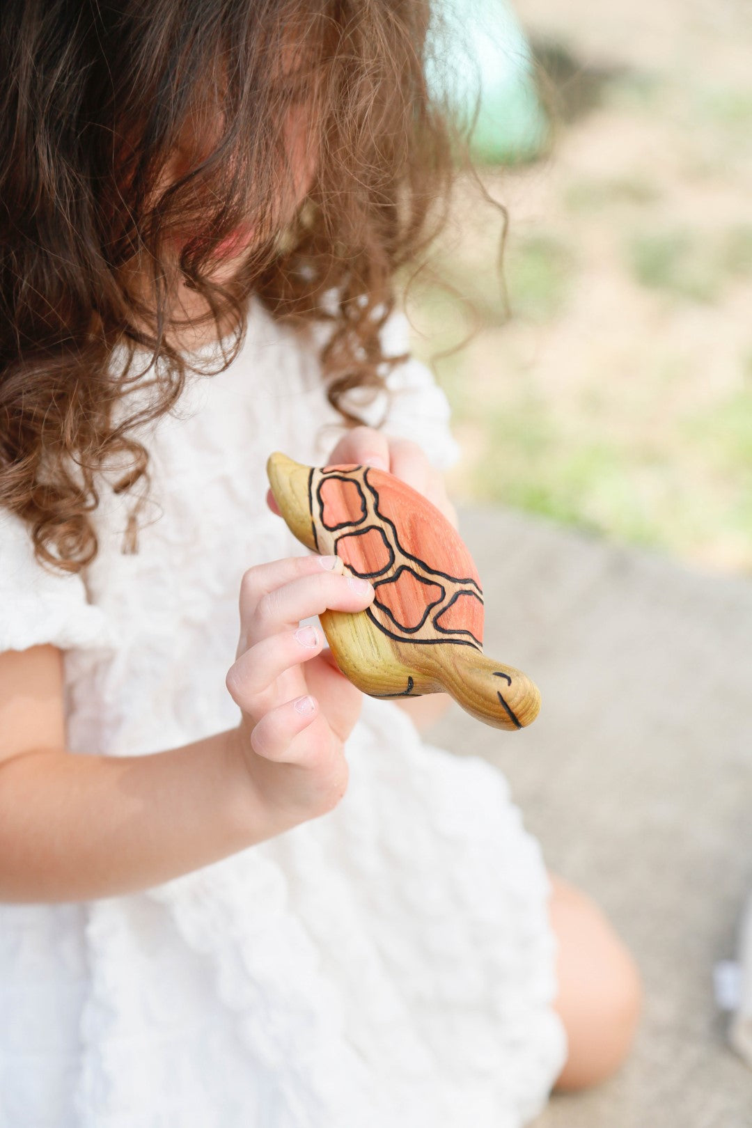 Wooden Sea Turtle Toy
