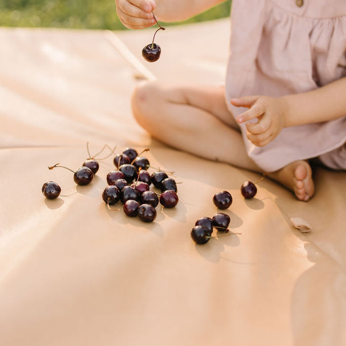 Sand Vegan Leather Cover