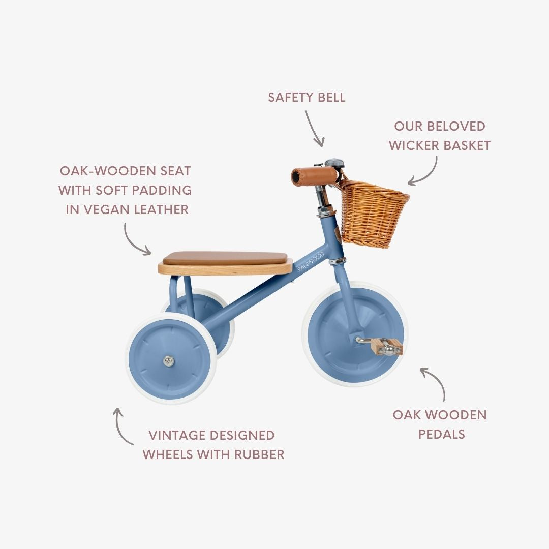 Trike Vintage - Blue