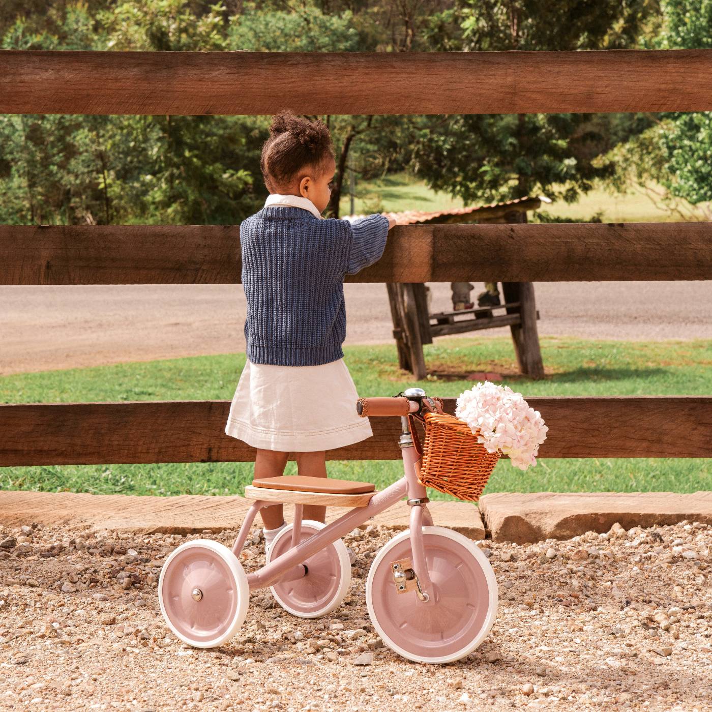 Trike Vintage - Dustypink