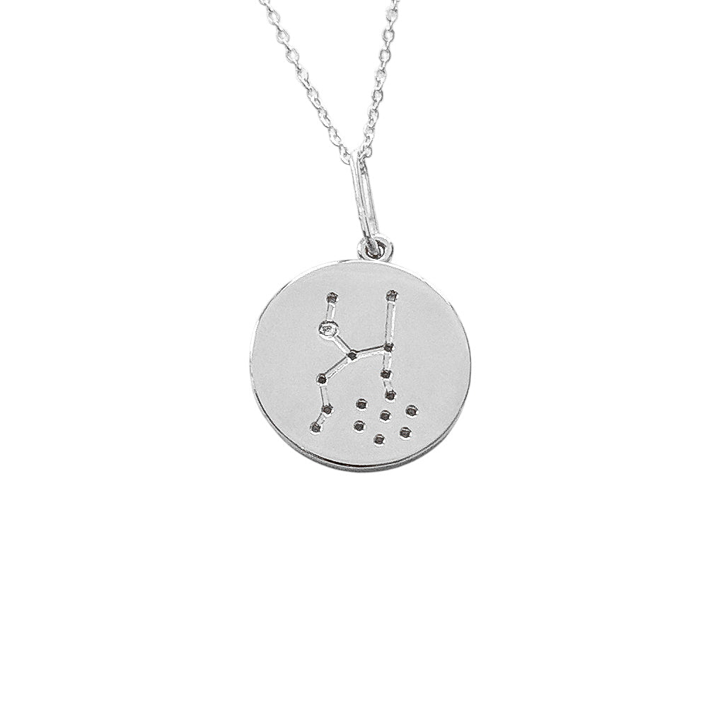 Constellation Charm Necklace