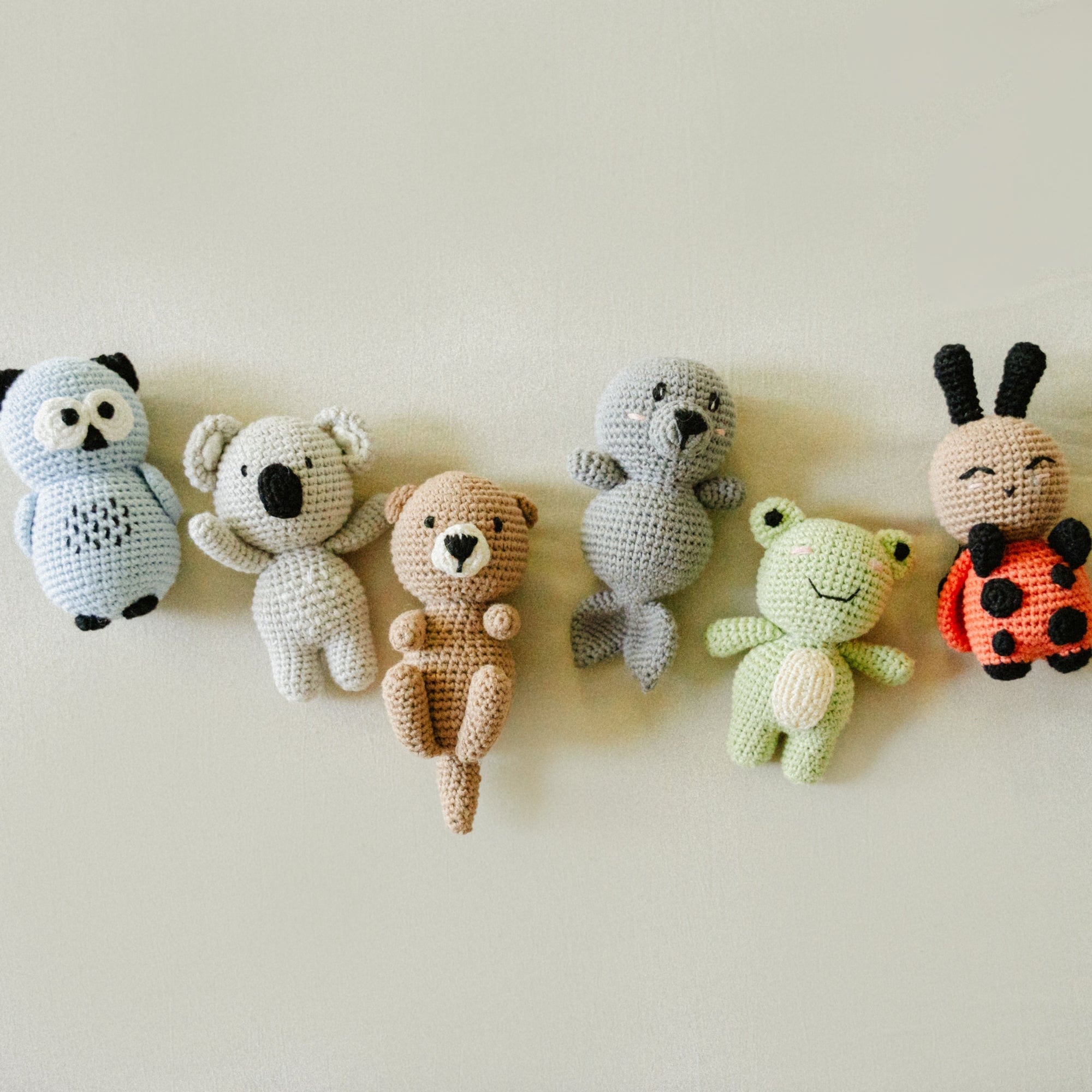 The New Arrivals - Collection Of 6