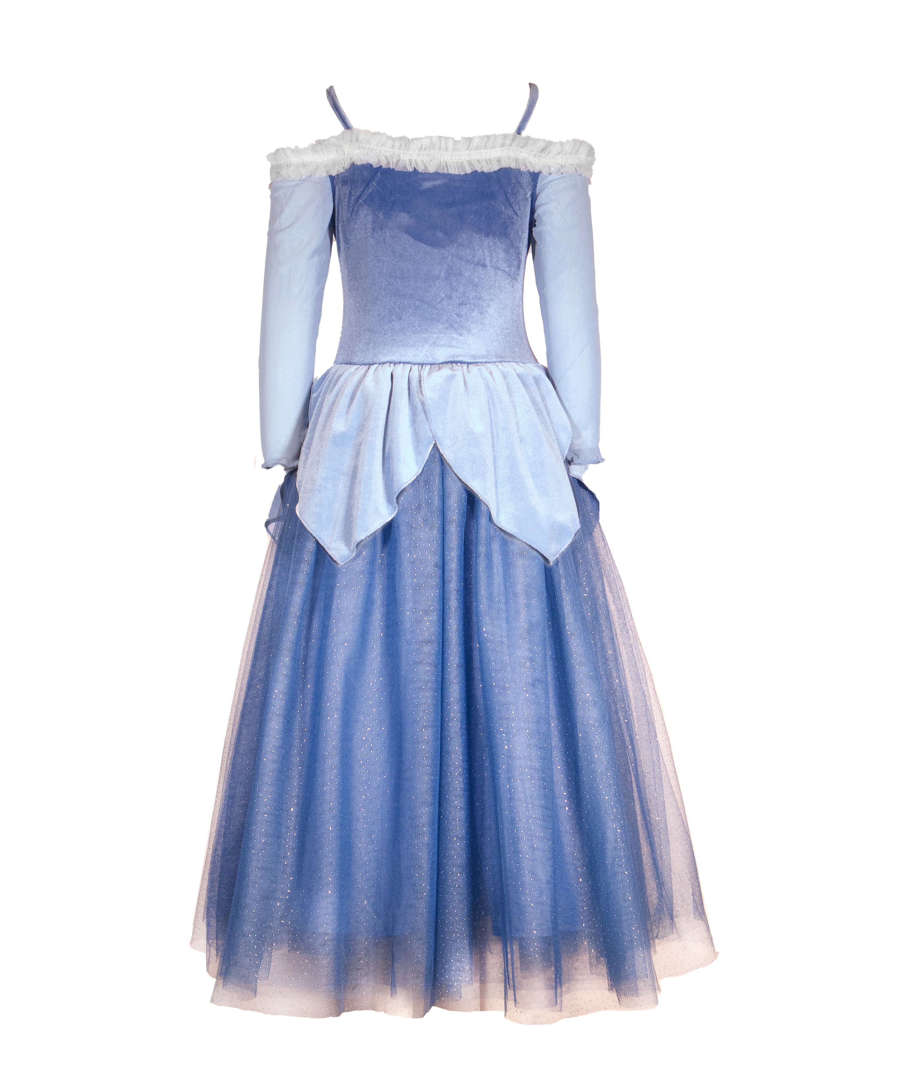 The Blue Sleeping Princess Dress