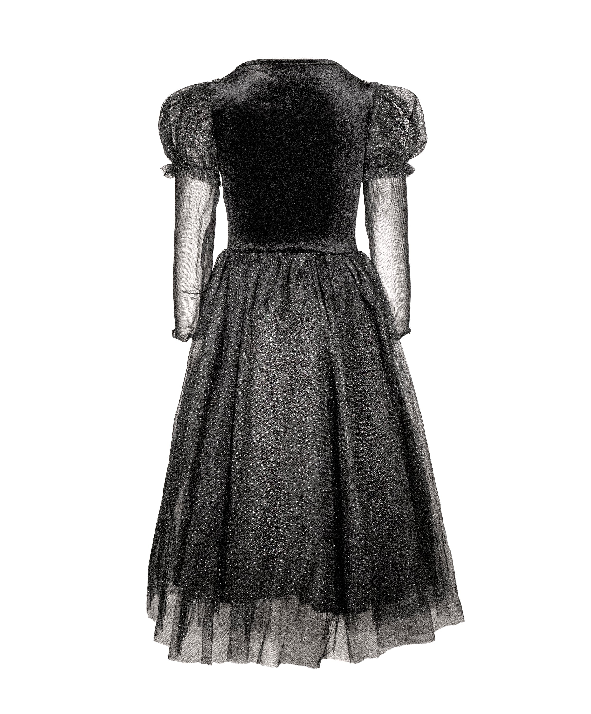 The Witch Of The West Costume Dress