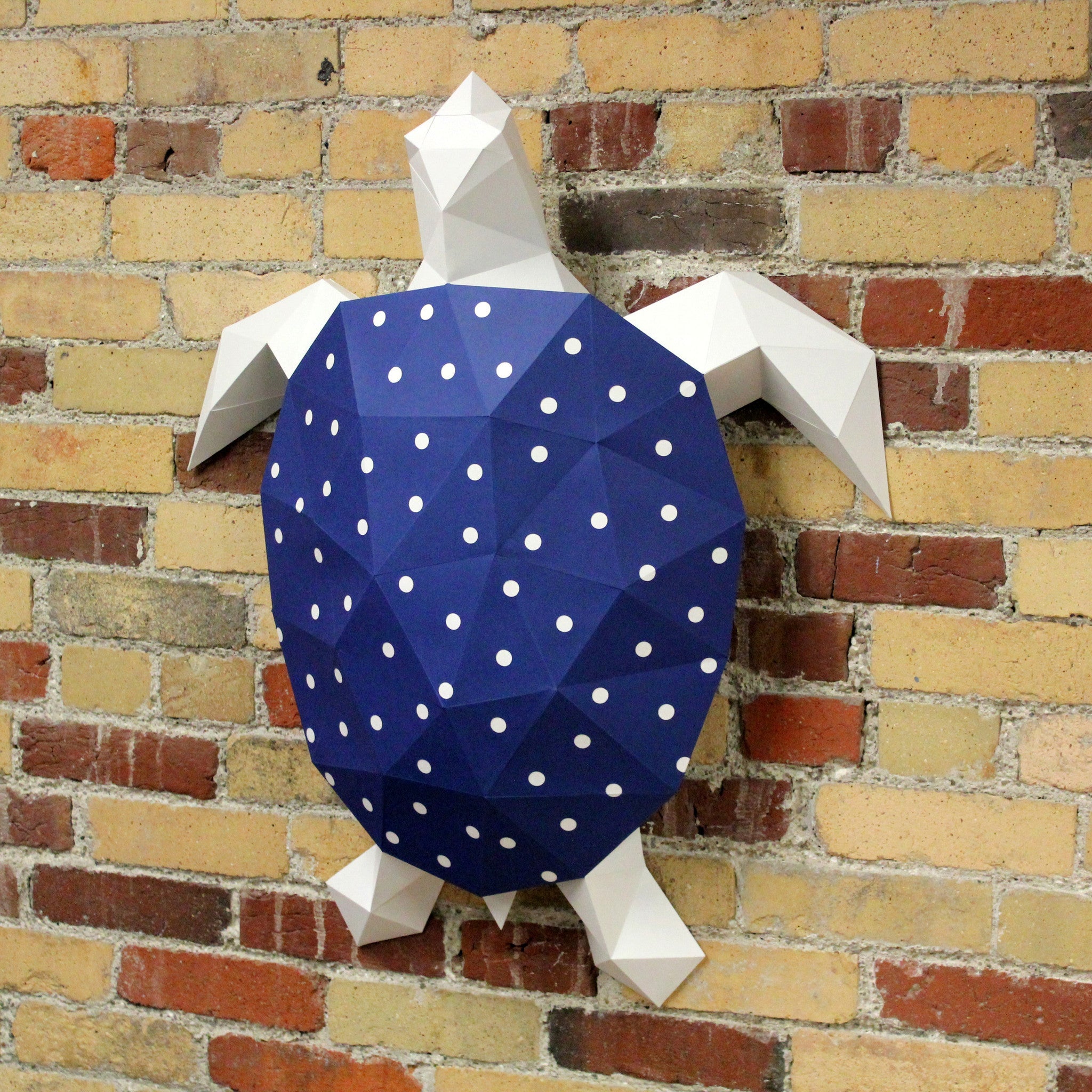 Donna The Turtle | Diy Paper Craft Animal Kit