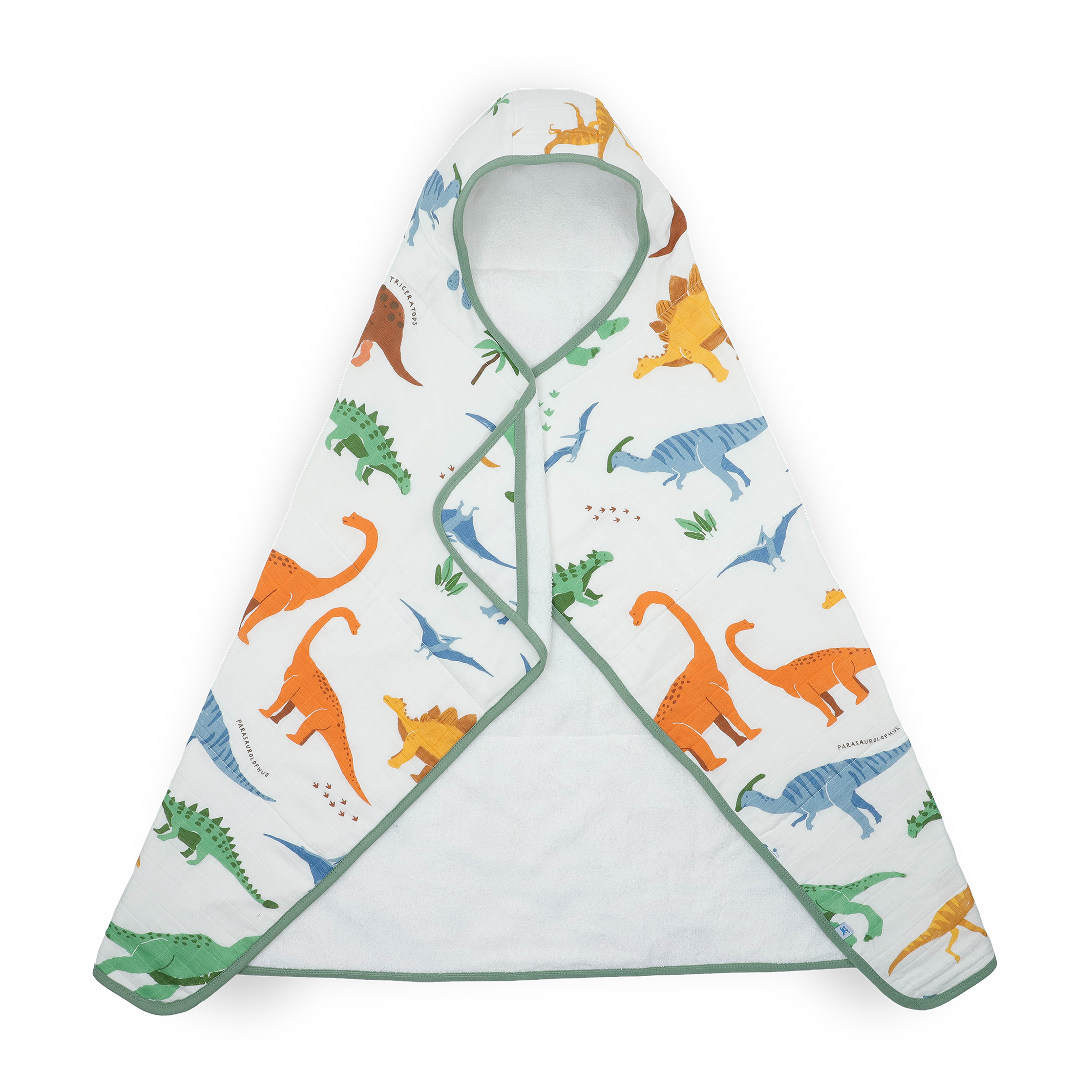 Toddler Hooded Towel - Dino Names